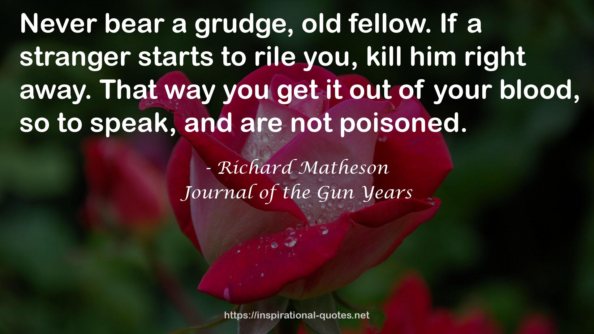 Journal of the Gun Years QUOTES