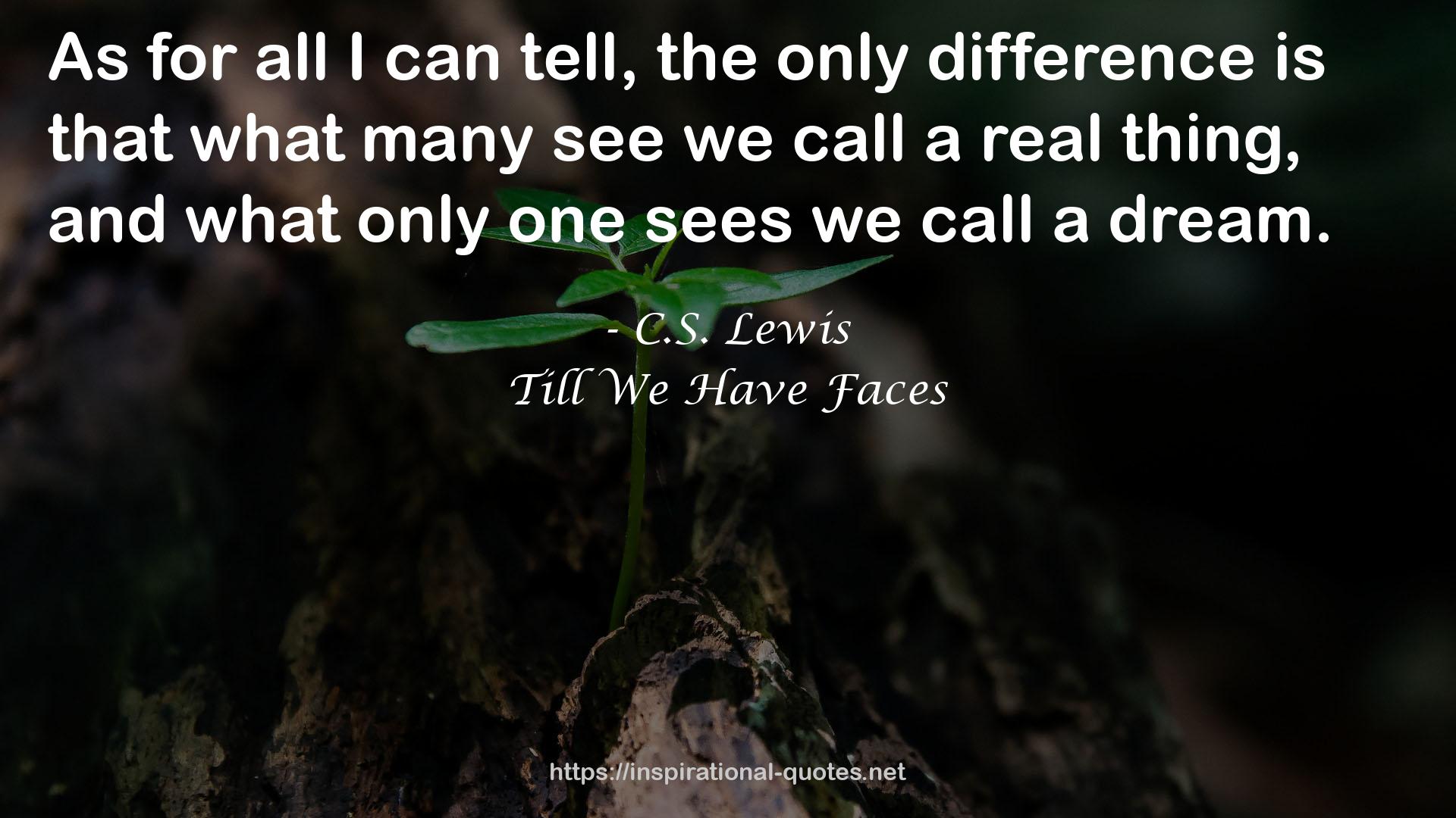 Till We Have Faces QUOTES