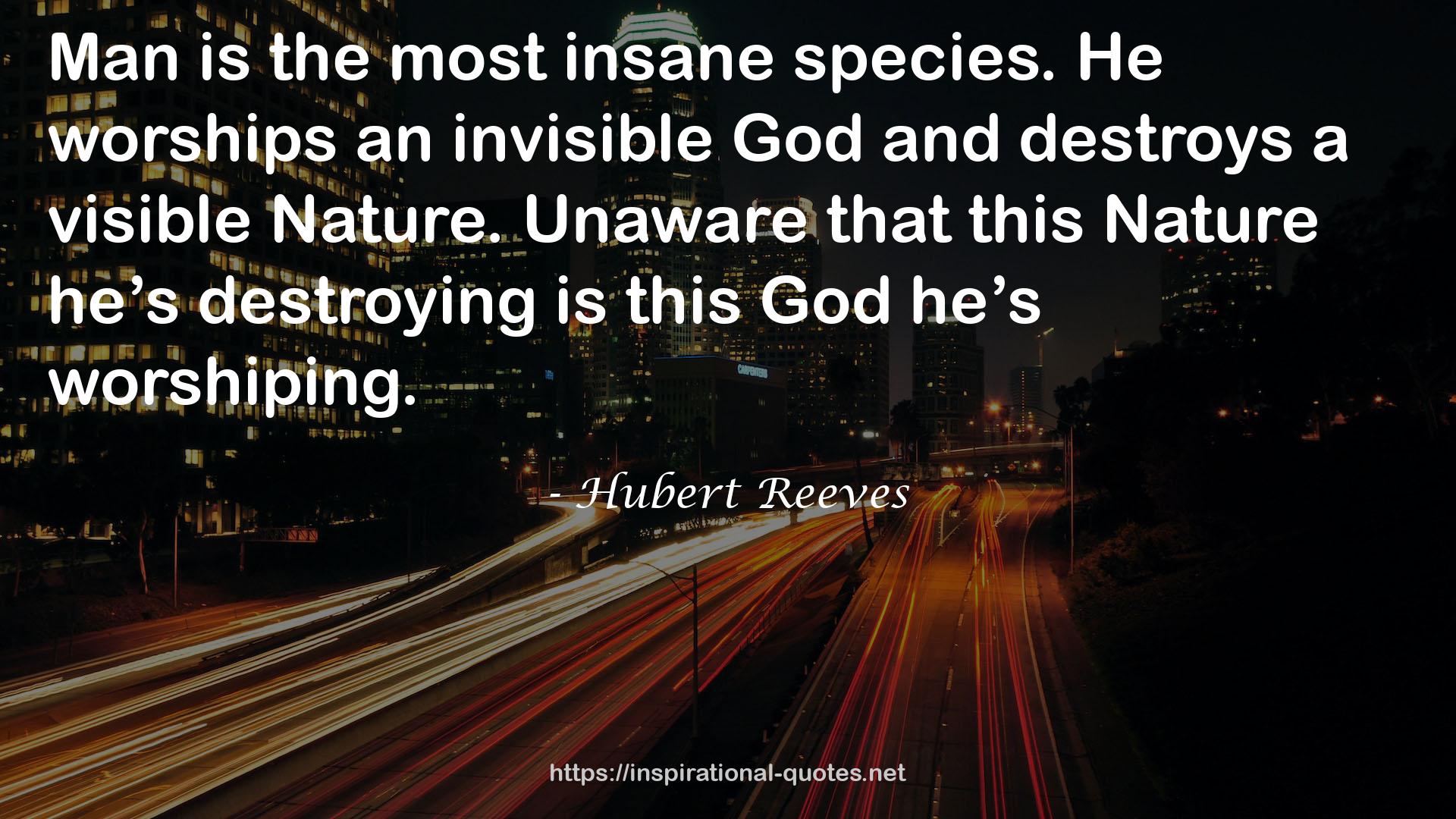 Hubert Reeves QUOTES