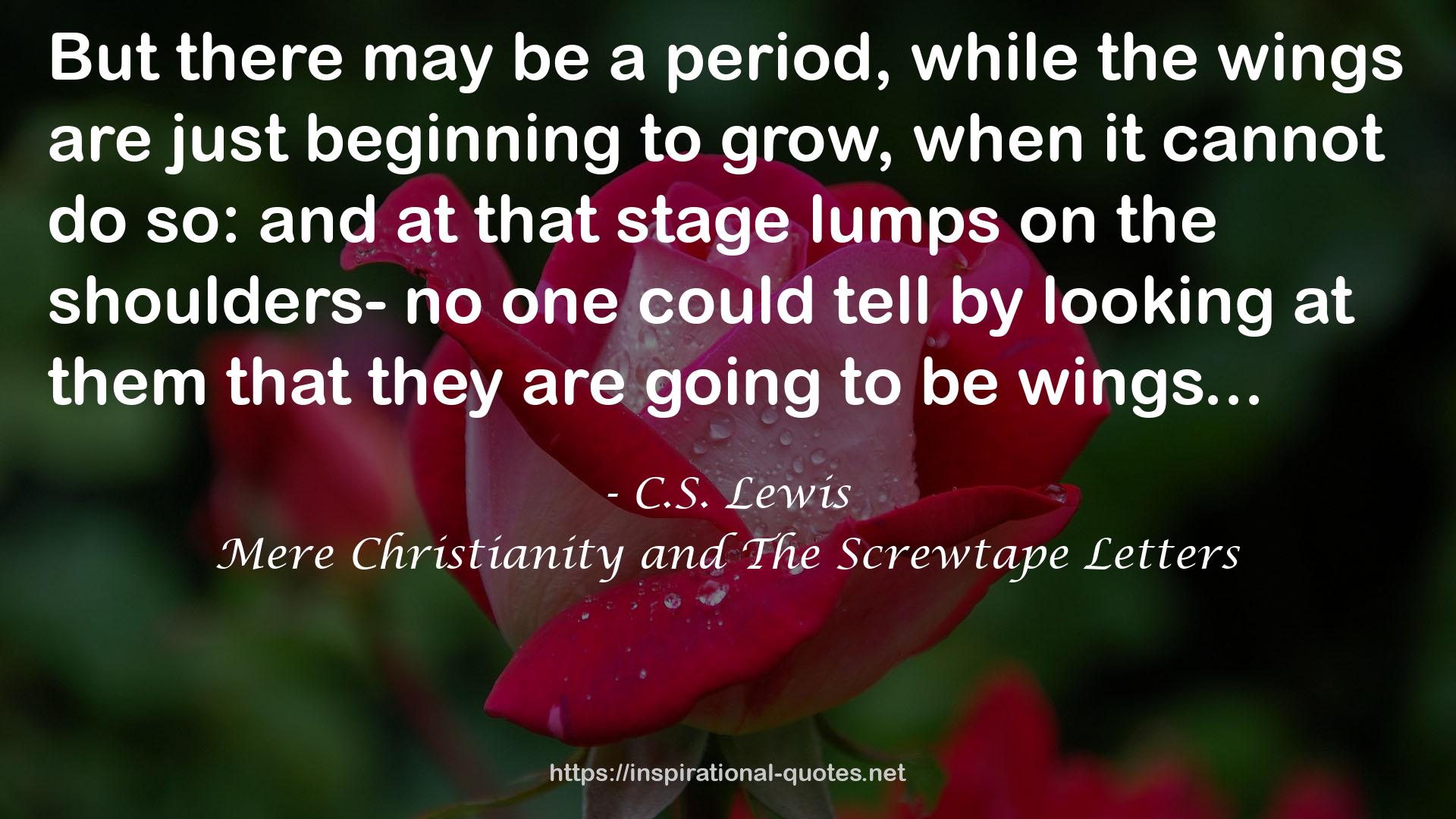 Mere Christianity and The Screwtape Letters QUOTES