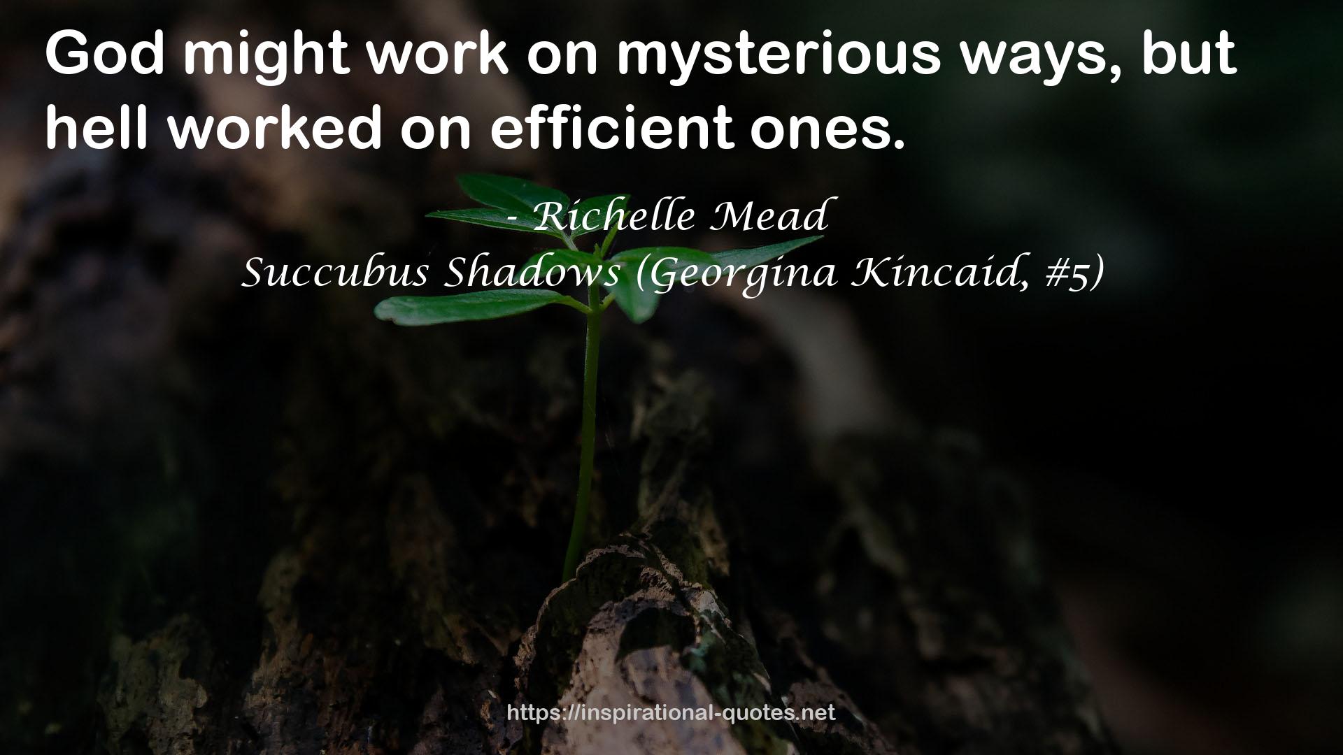 Succubus Shadows (Georgina Kincaid, #5) QUOTES