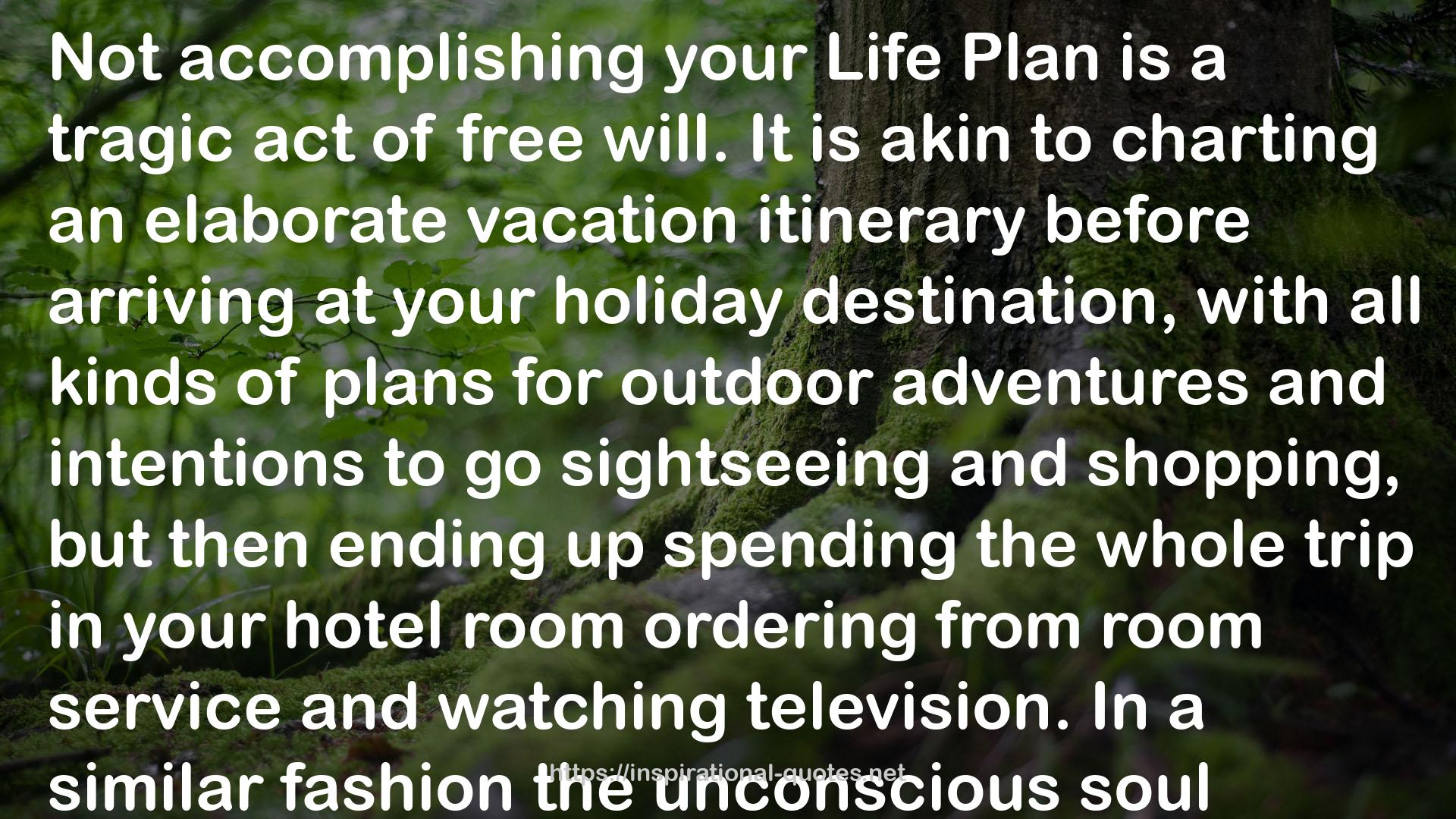 your Life Plan  QUOTES