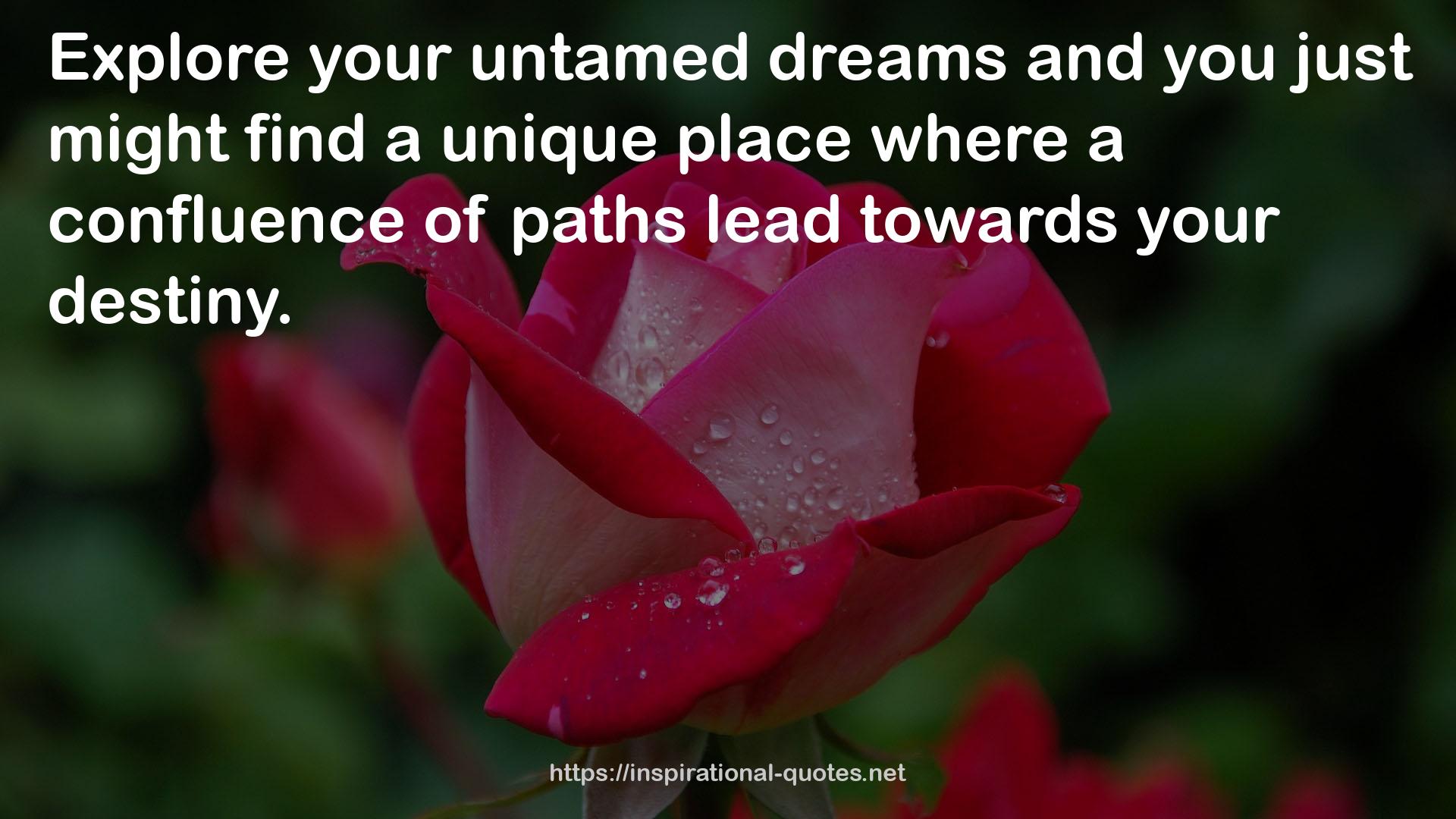 your untamed dreams  QUOTES