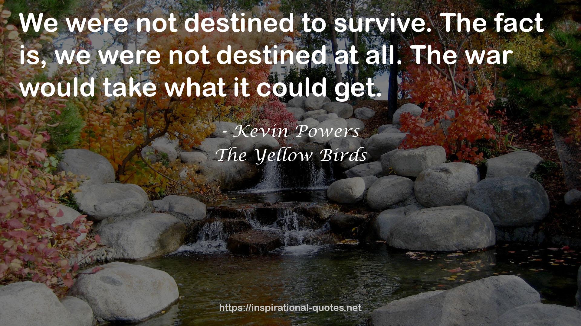 The Yellow Birds QUOTES