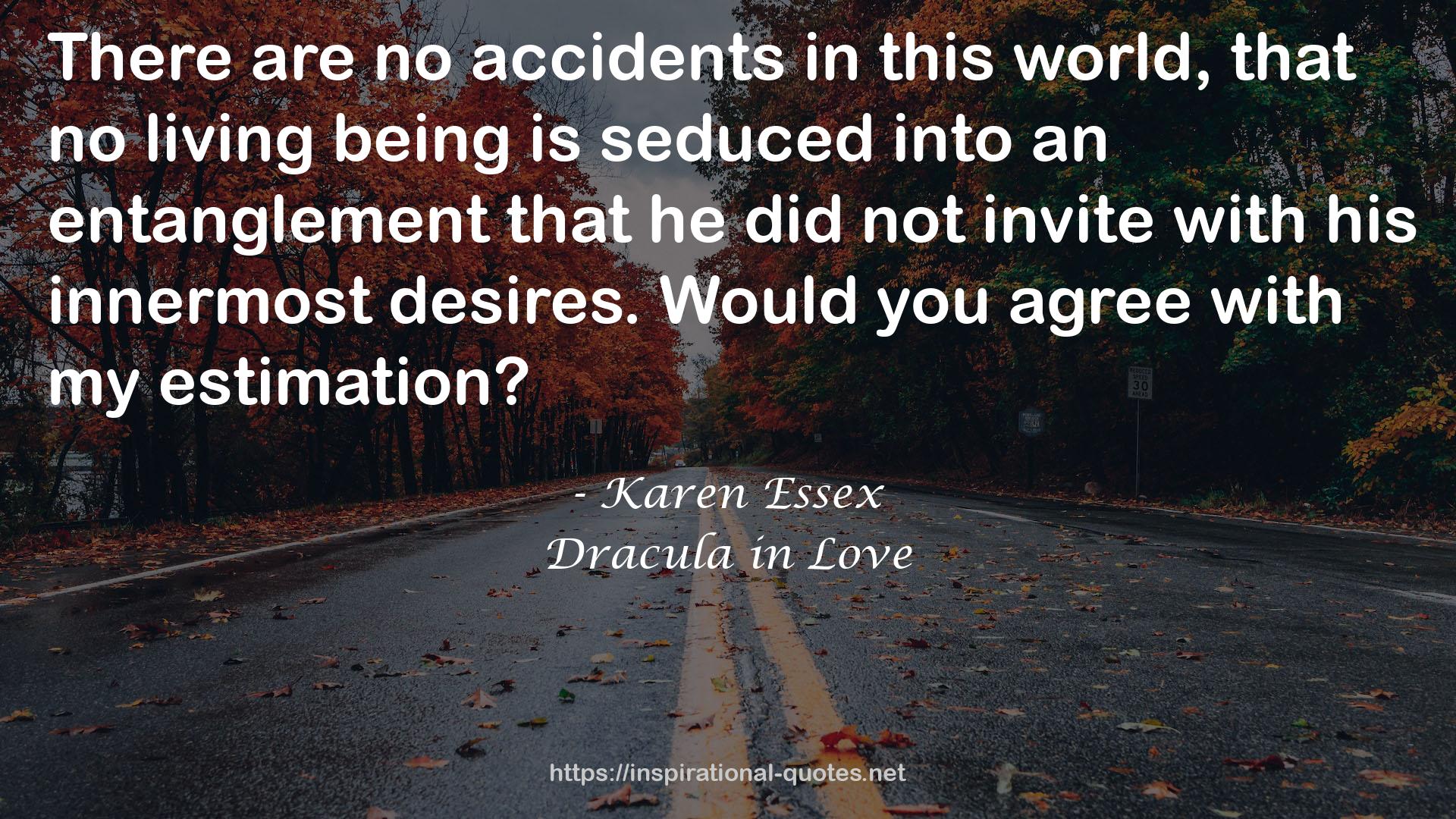 no accidents  QUOTES