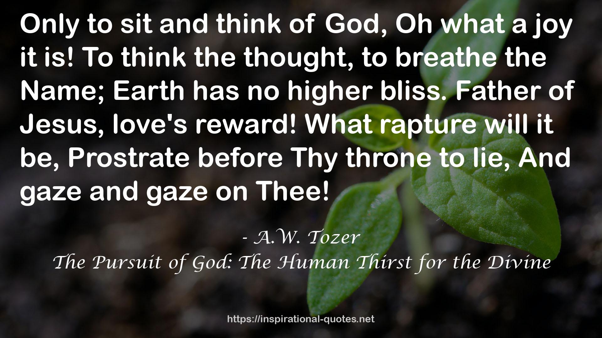 The Pursuit of God: The Human Thirst for the Divine QUOTES