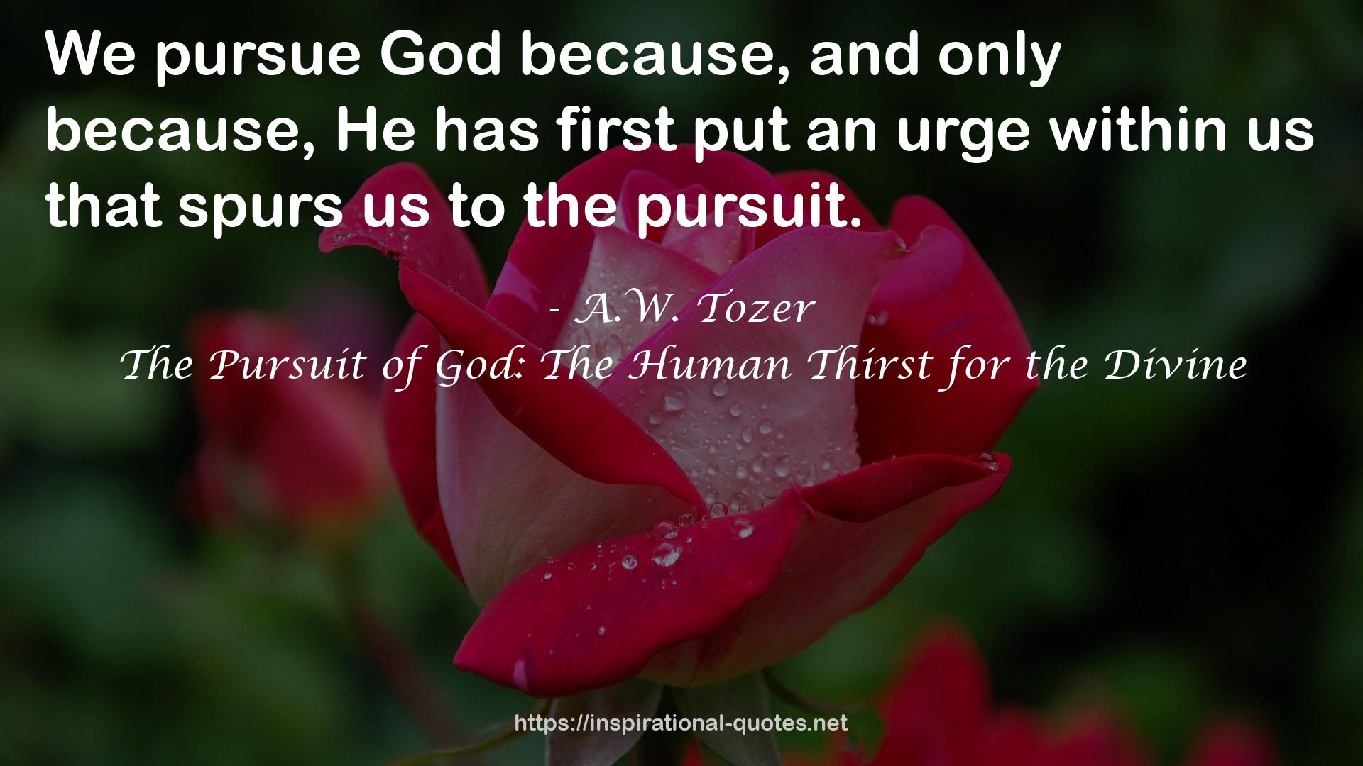 The Pursuit of God: The Human Thirst for the Divine QUOTES