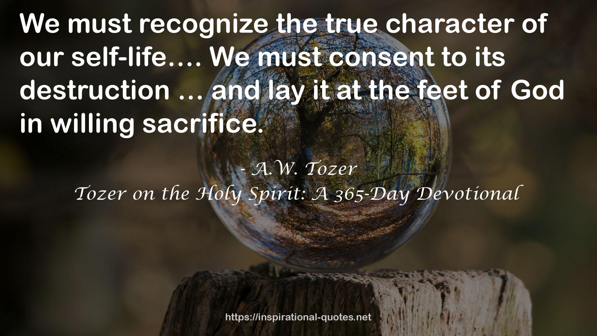 Tozer on the Holy Spirit: A 365-Day Devotional QUOTES