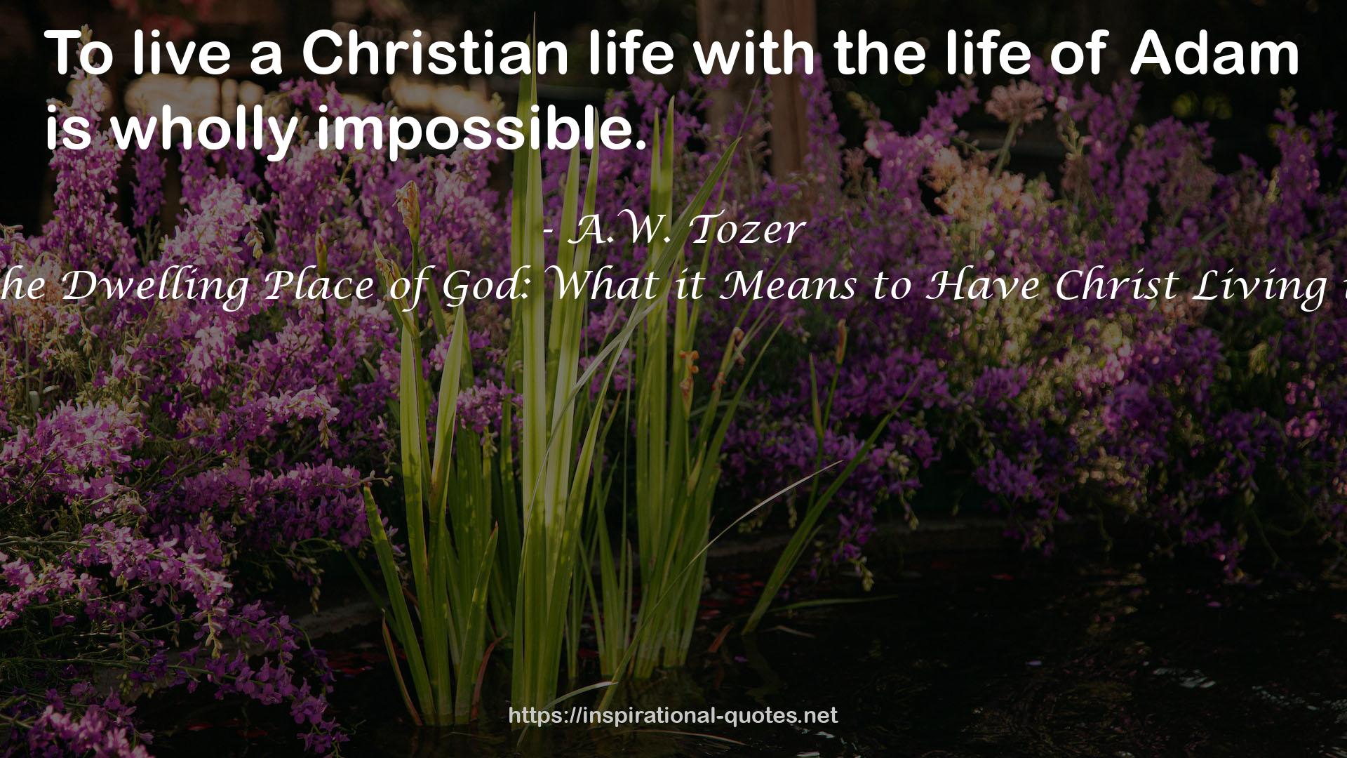 Man the Dwelling Place of God: What it Means to Have Christ Living in You QUOTES