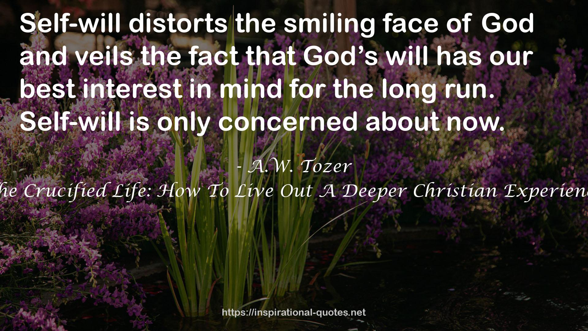 The Crucified Life: How To Live Out A Deeper Christian Experience QUOTES