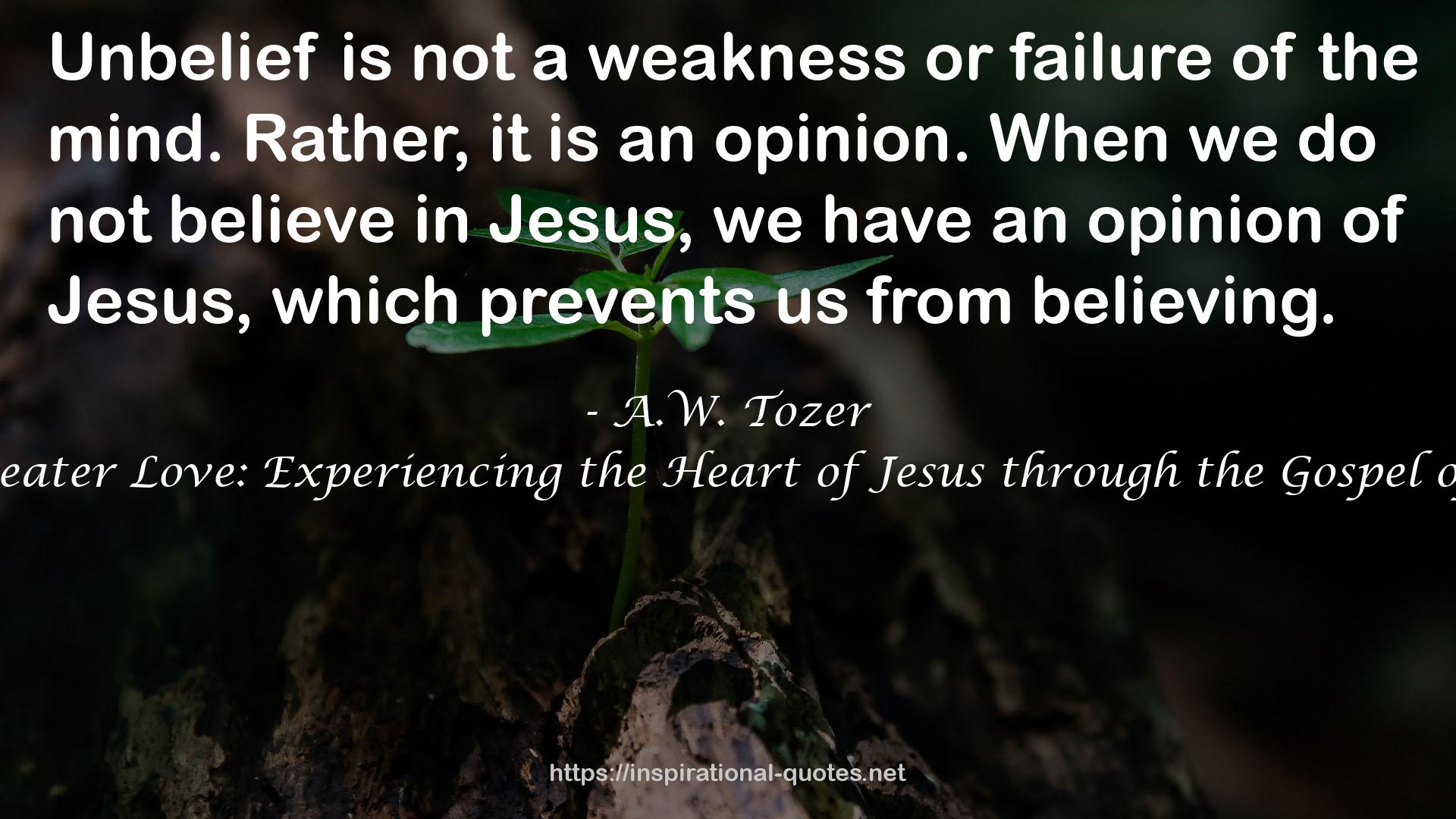 No Greater Love: Experiencing the Heart of Jesus through the Gospel of John QUOTES