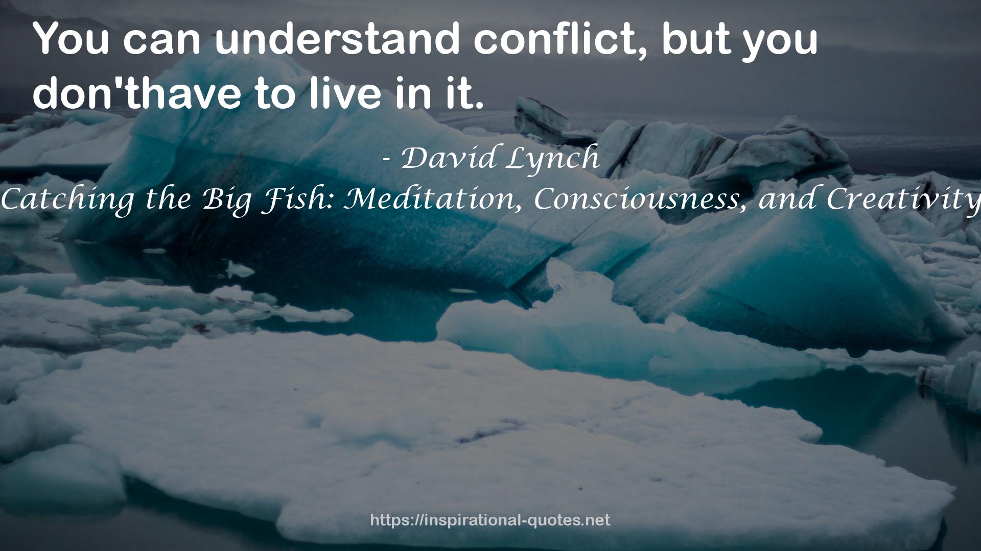 Catching the Big Fish: Meditation, Consciousness, and Creativity QUOTES