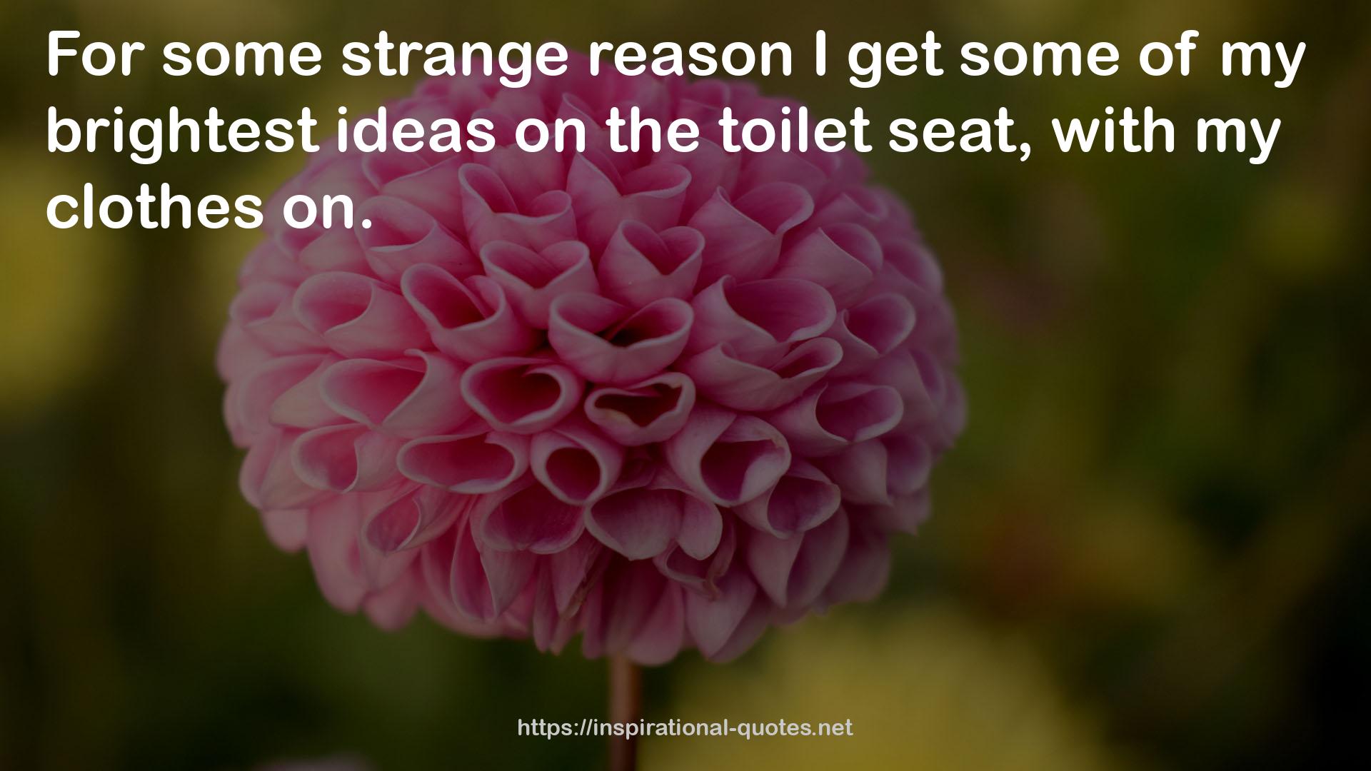 some strange reason  QUOTES