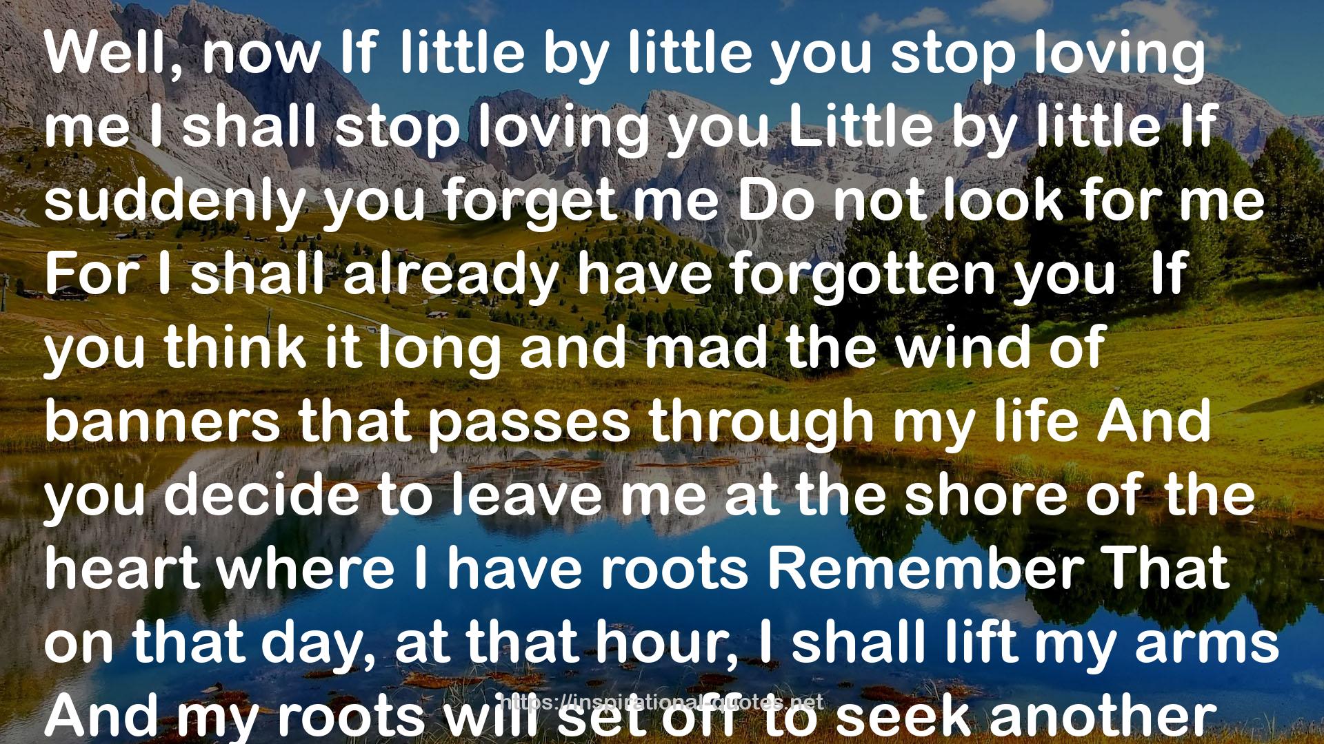 my roots  QUOTES
