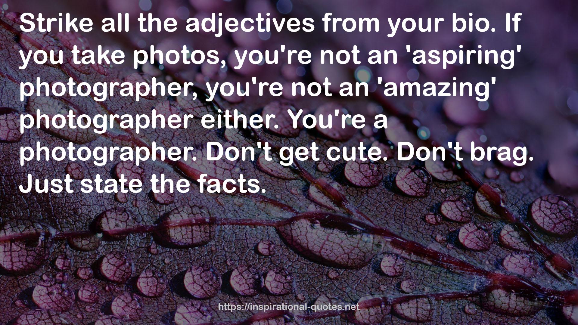 an 'amazing' photographer  QUOTES