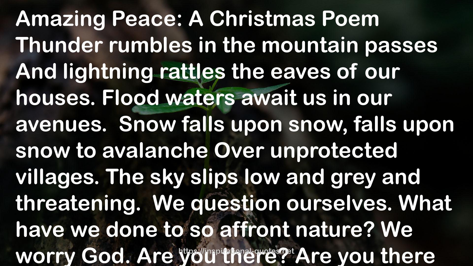 Amazing Peace: A Christmas Poem QUOTES