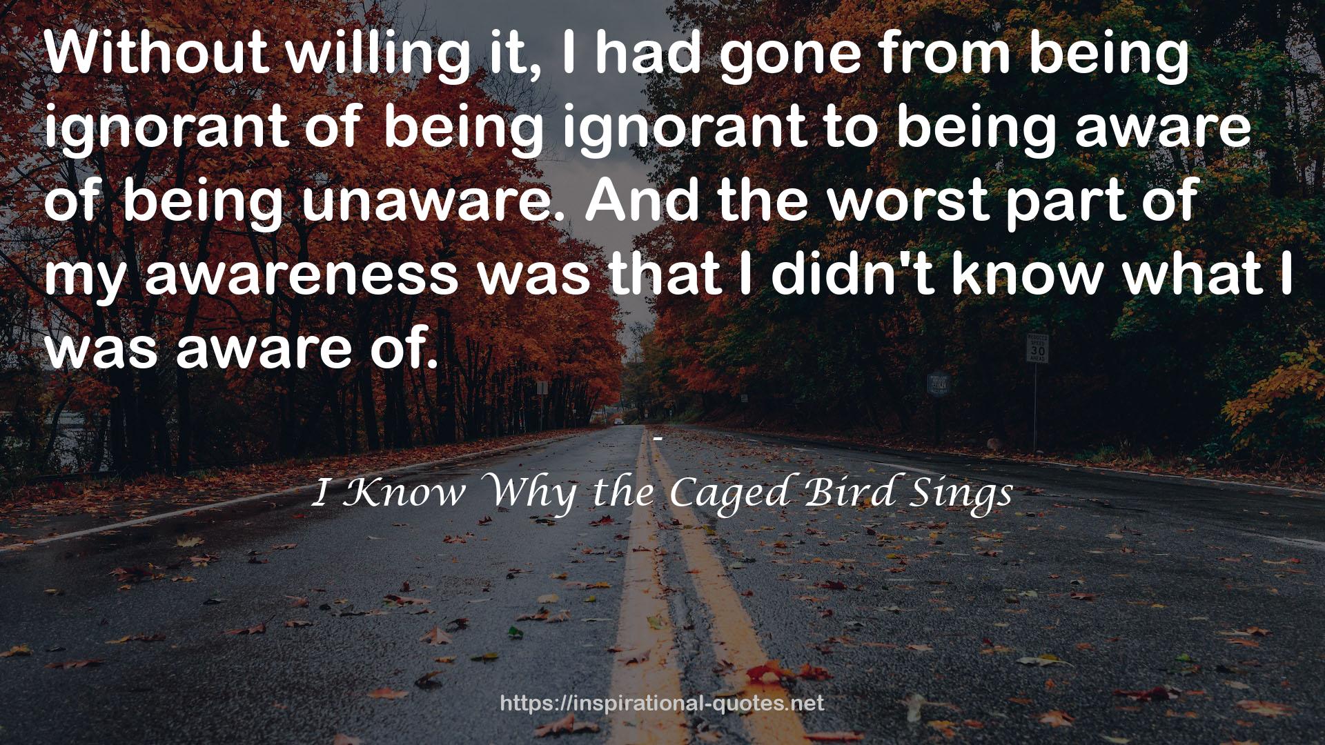 I Know Why the Caged Bird Sings QUOTES