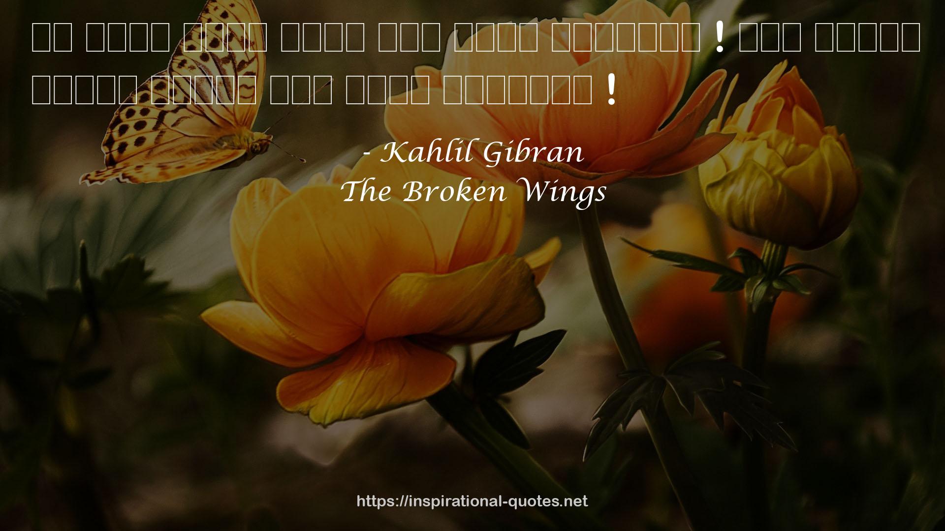 The Broken Wings QUOTES