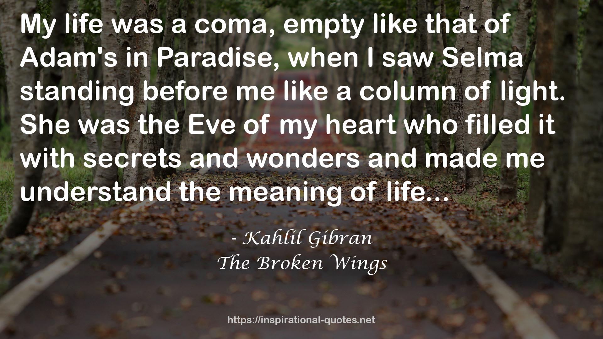 The Broken Wings QUOTES