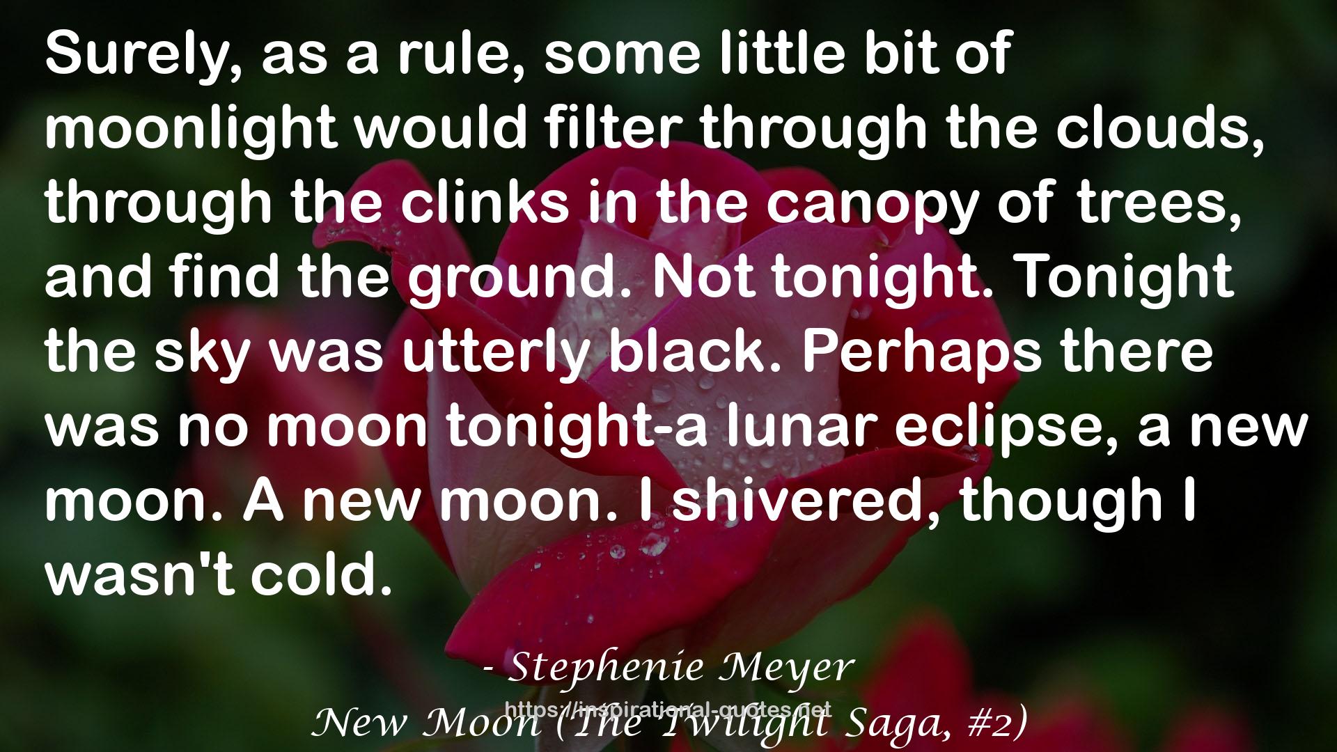 New Moon (The Twilight Saga, #2) QUOTES