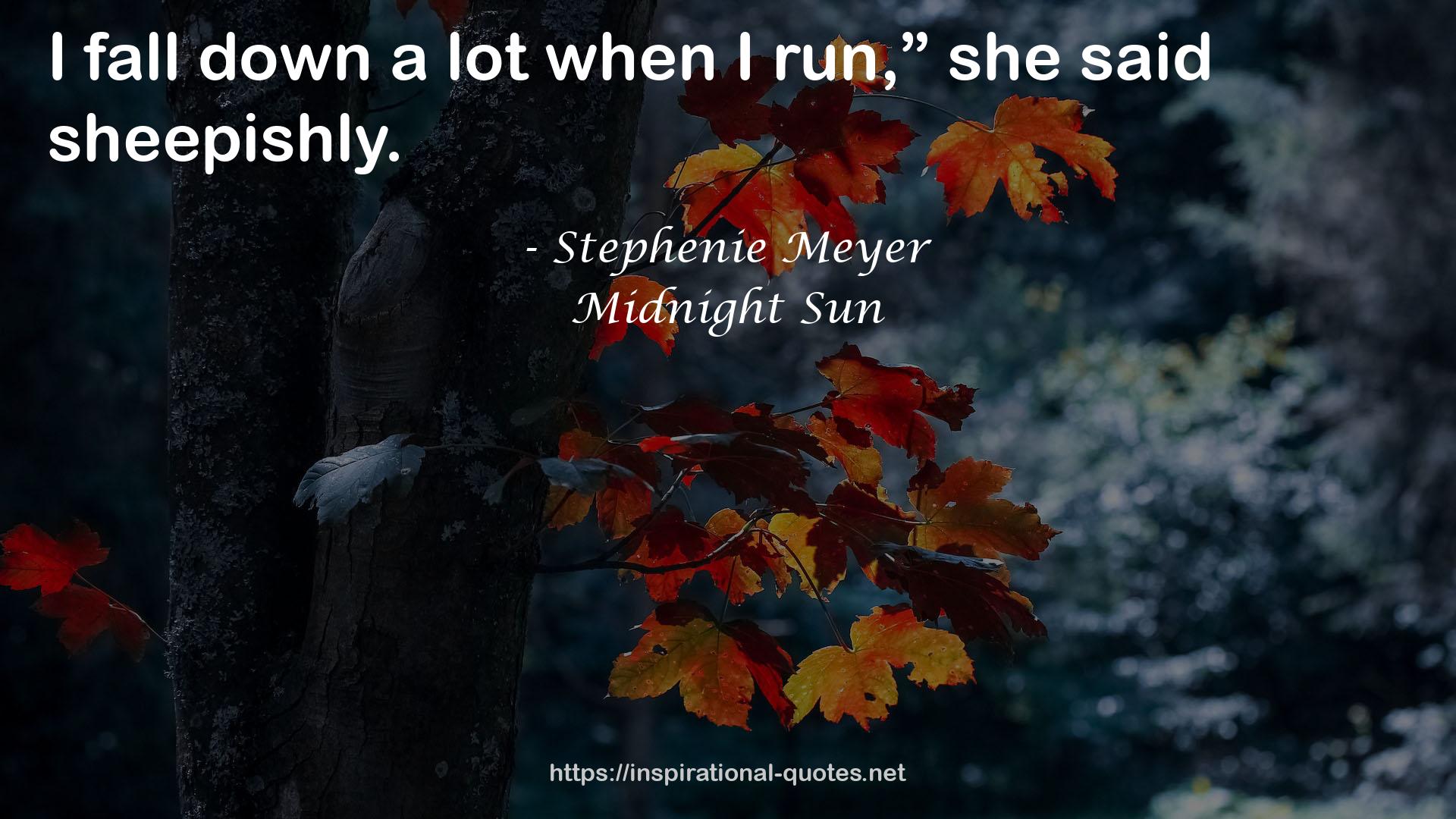 Midnight Sun QUOTES