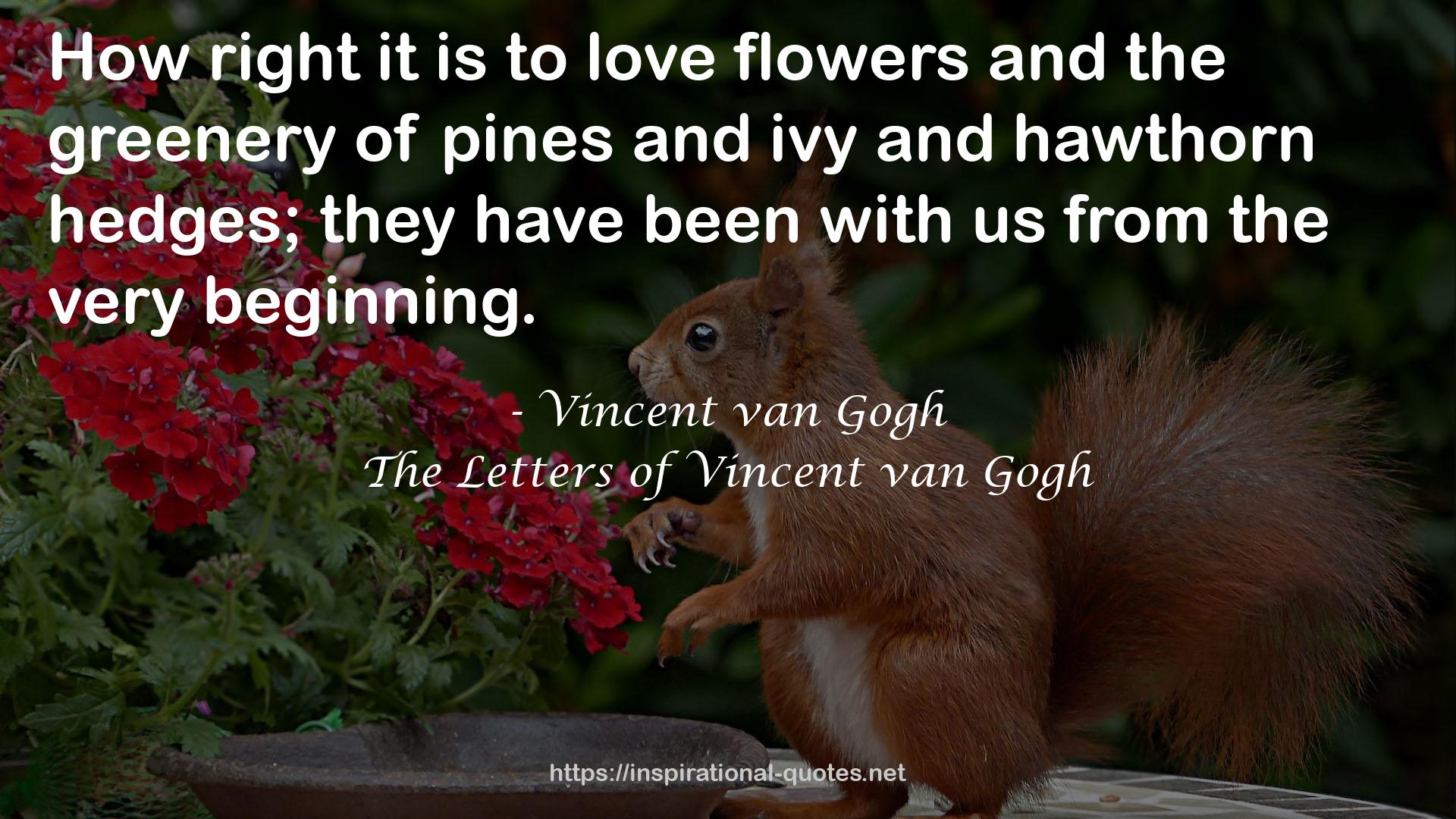 The Letters of Vincent van Gogh QUOTES