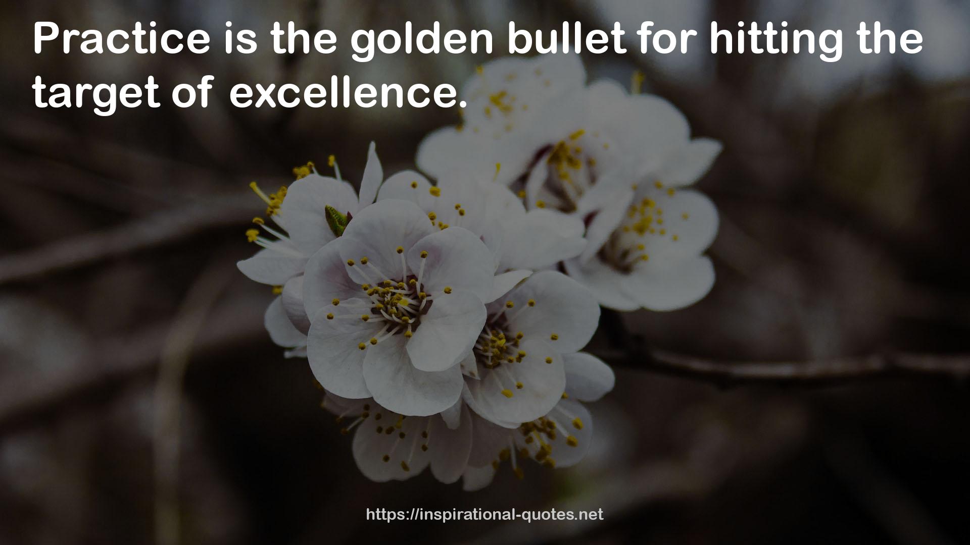 the golden bullet  QUOTES