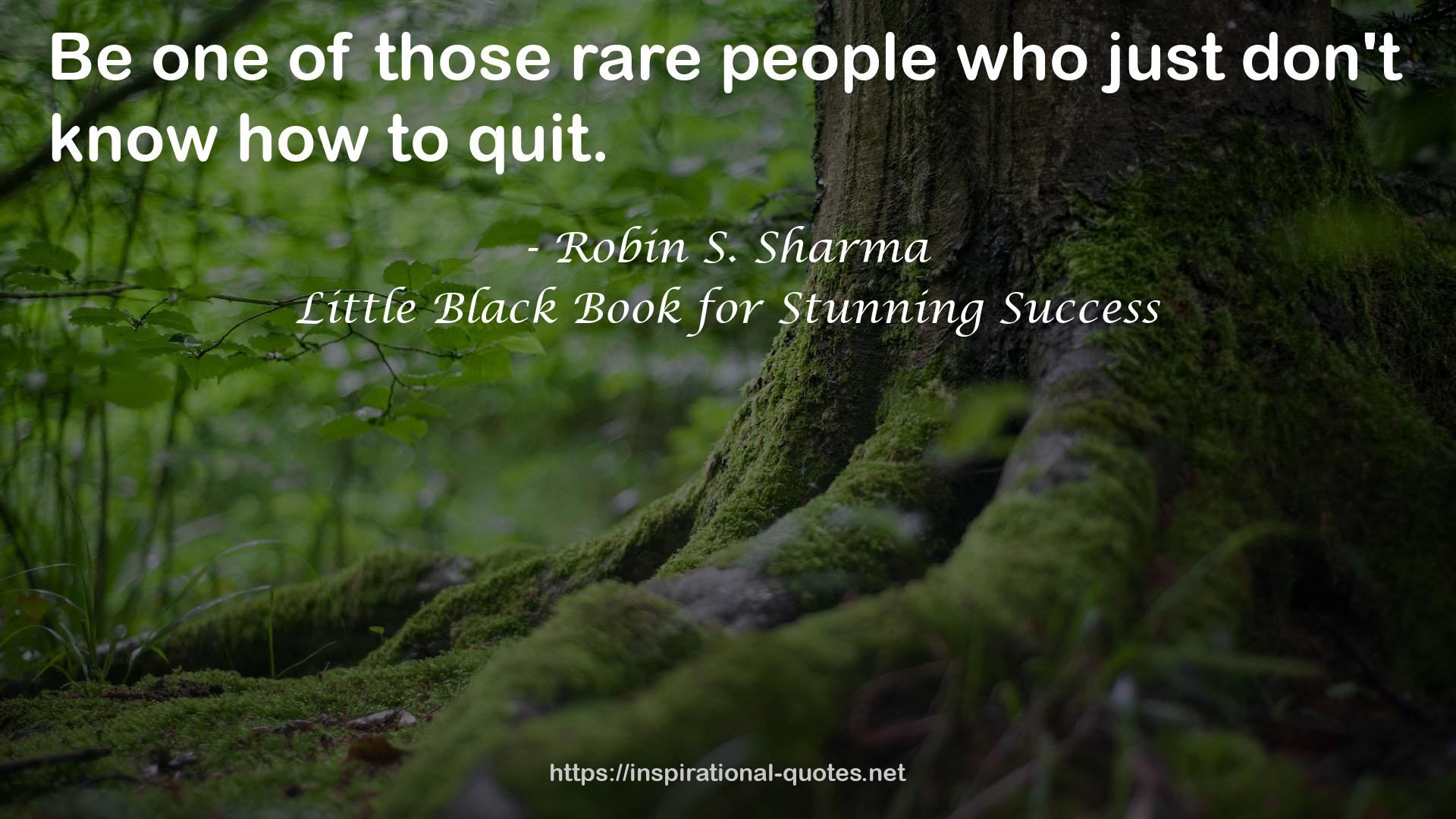 Little Black Book for Stunning Success QUOTES