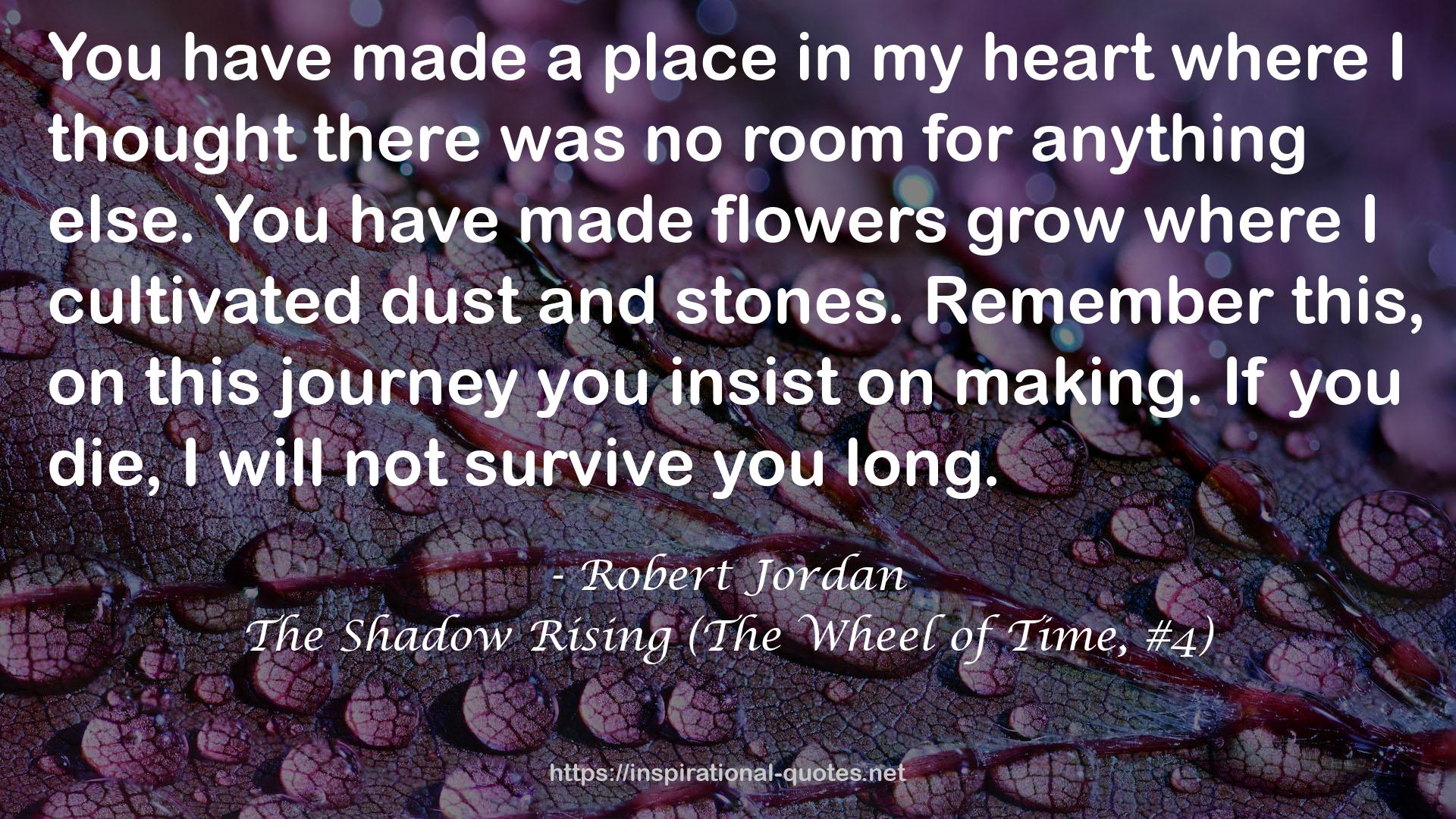 The Shadow Rising (The Wheel of Time, #4) QUOTES