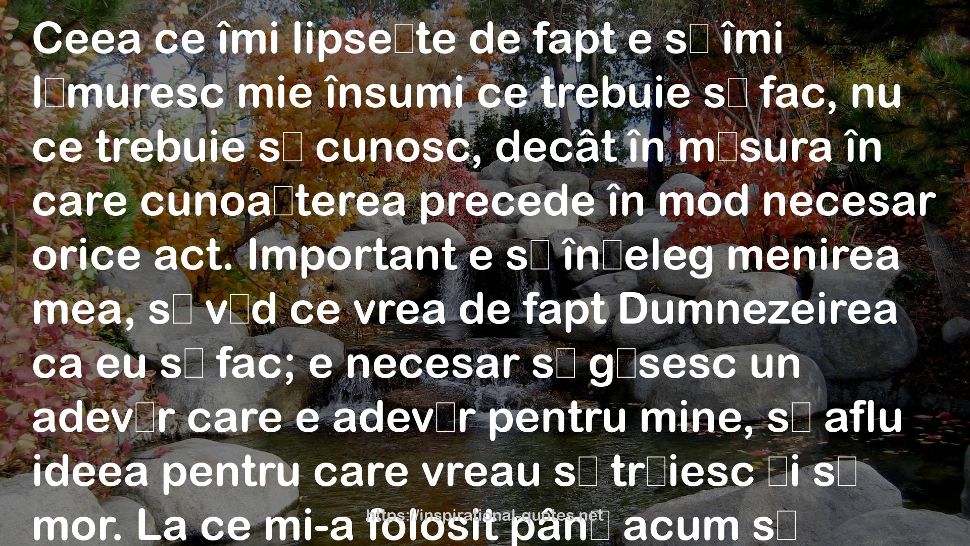 Opere I: Din hârtiile unuia încă viu. Despre ironie, cu permanentă referire la Socrate QUOTES