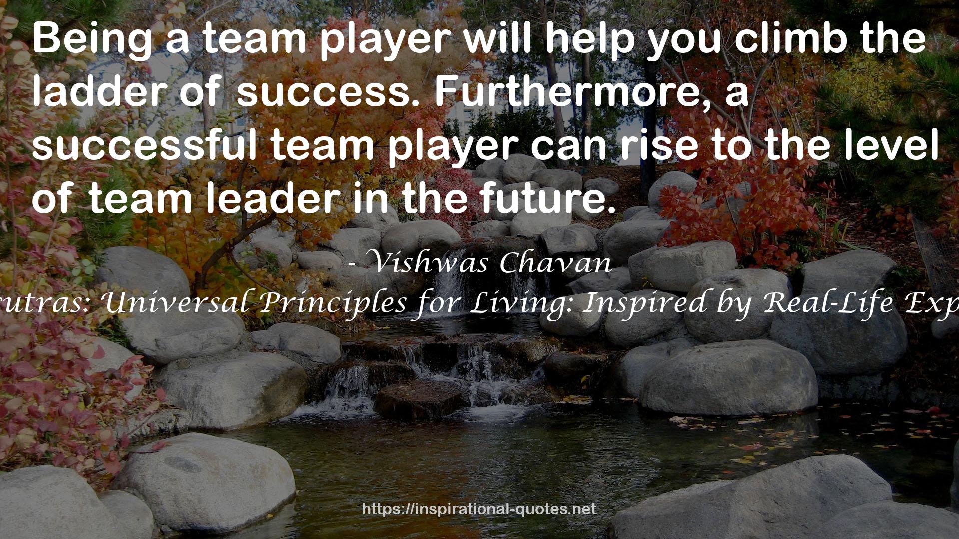 a successful team player  QUOTES