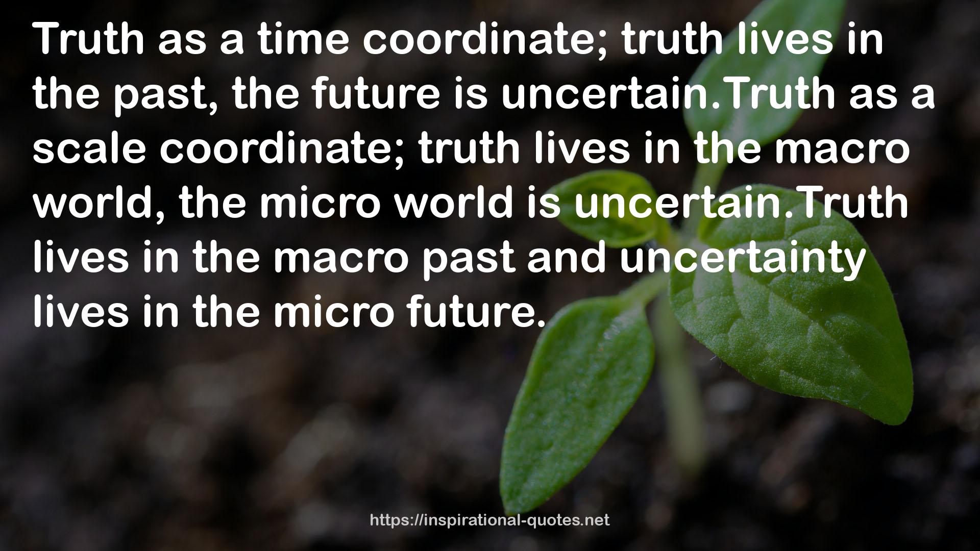 the micro world  QUOTES