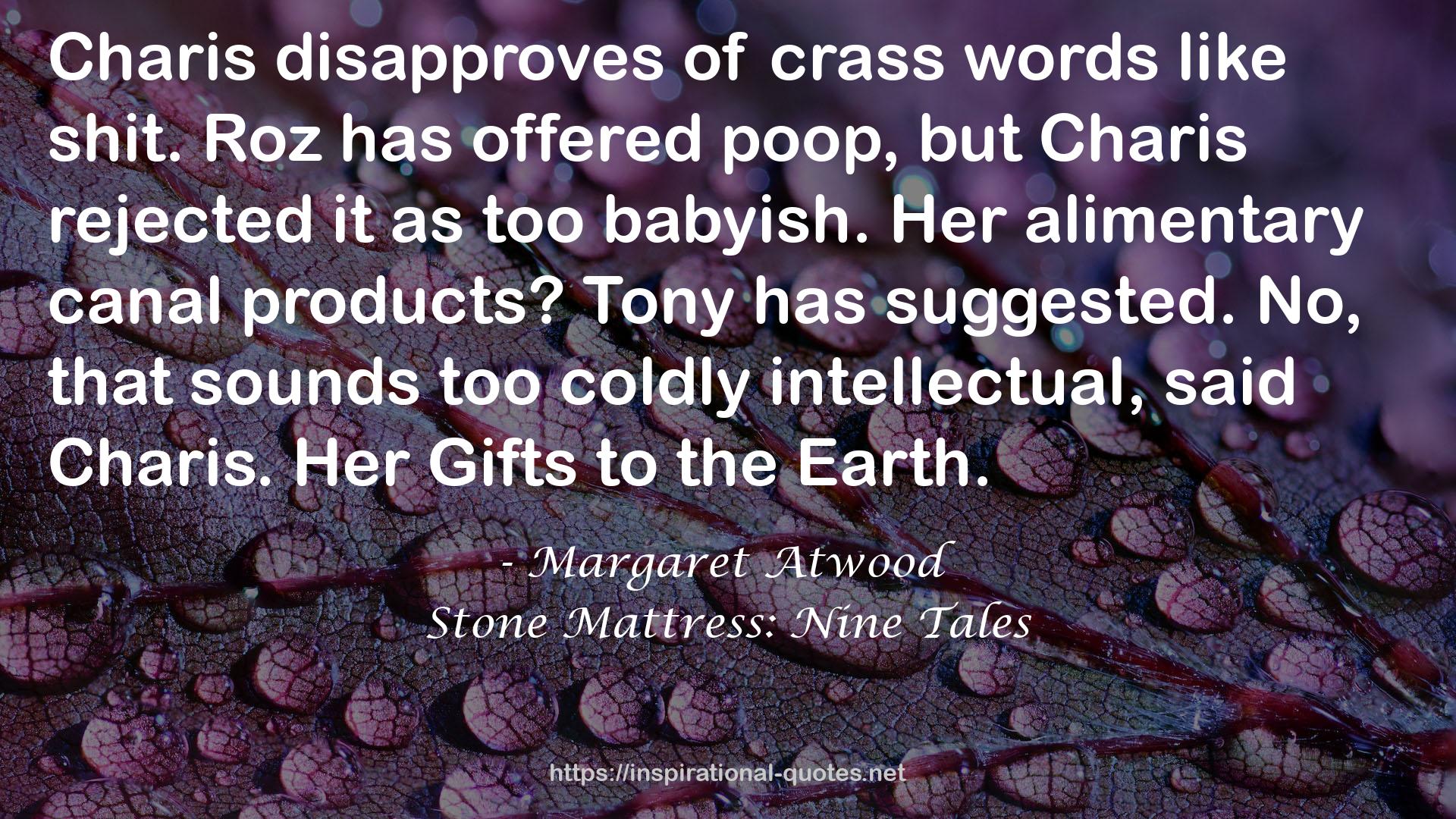Stone Mattress: Nine Tales QUOTES