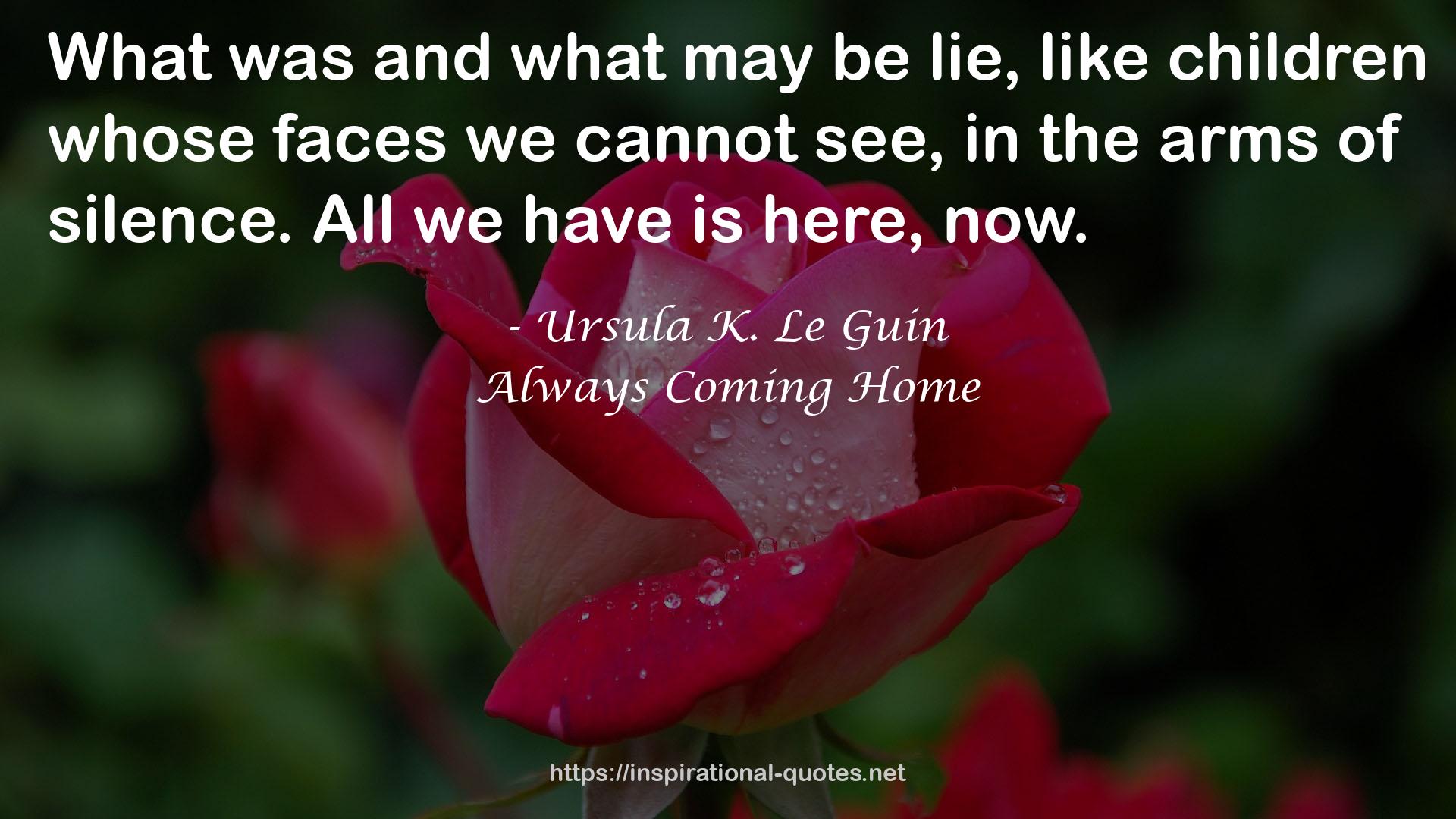 Always Coming Home QUOTES
