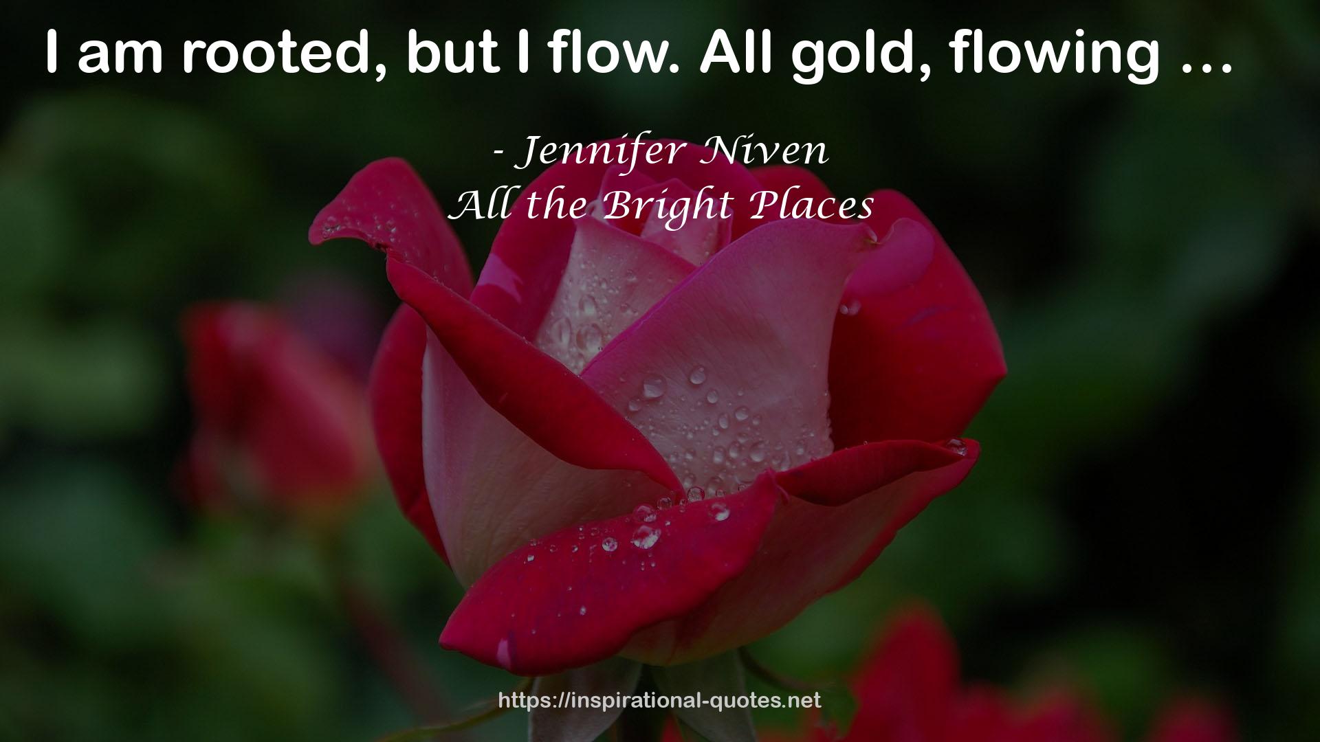 Jennifer Niven QUOTES