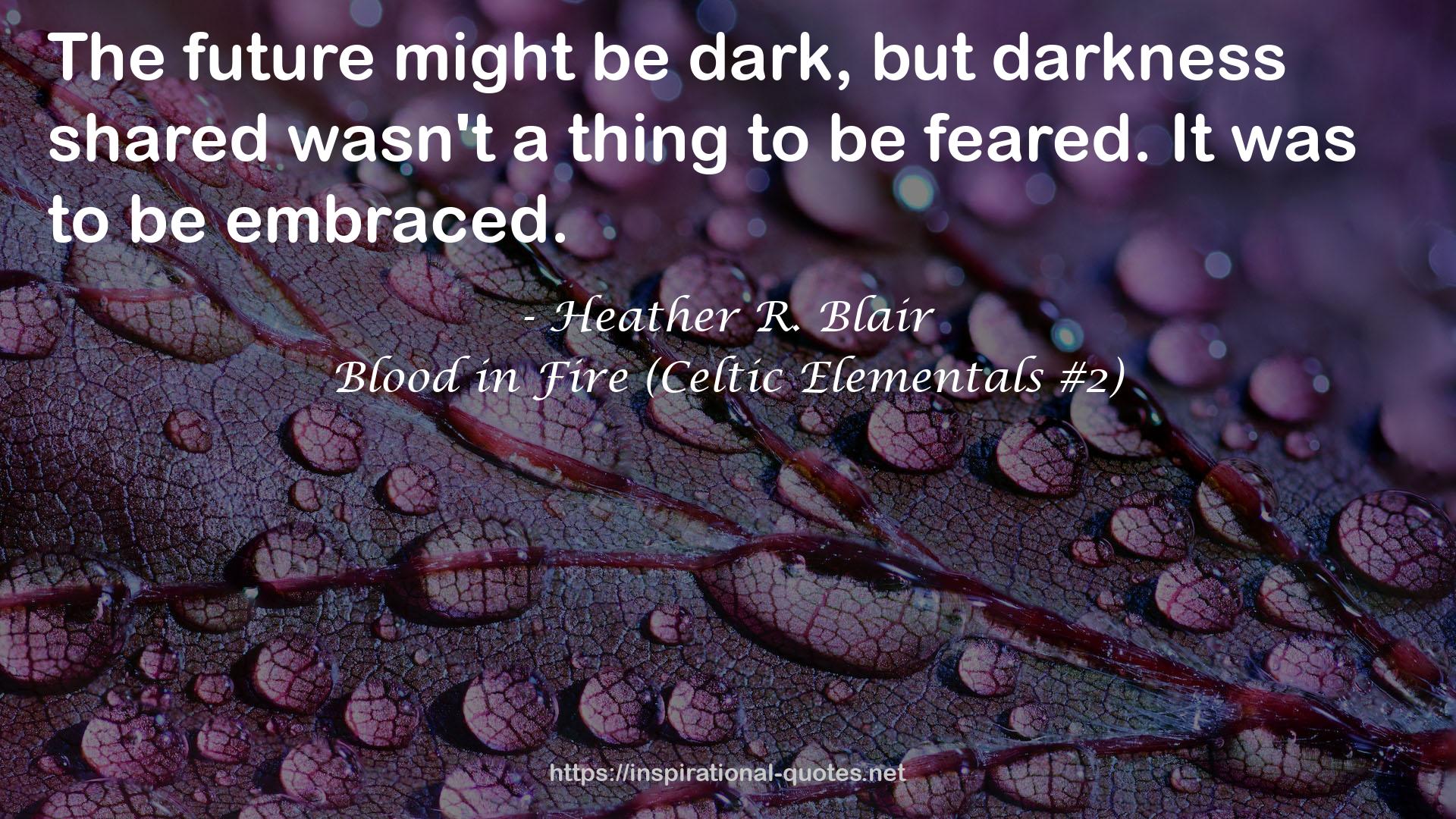 Blood in Fire (Celtic Elementals #2) QUOTES