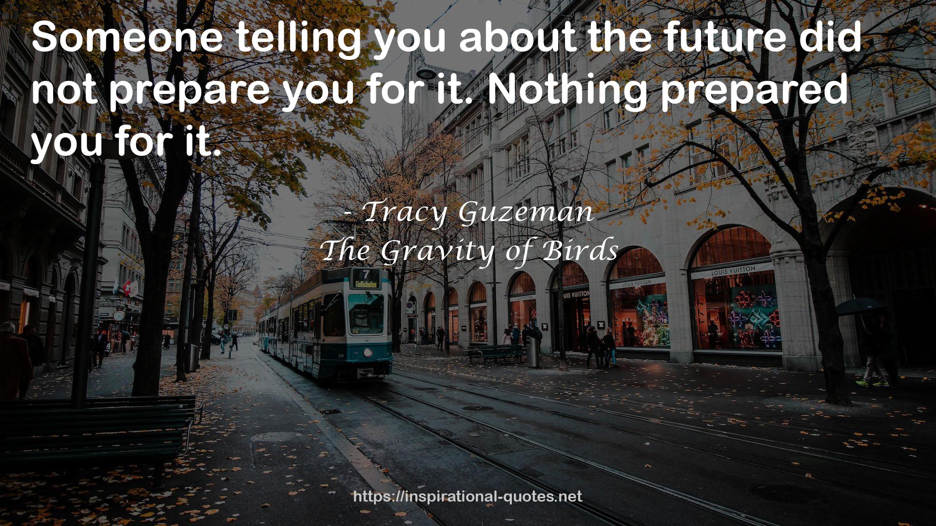 The Gravity of Birds QUOTES