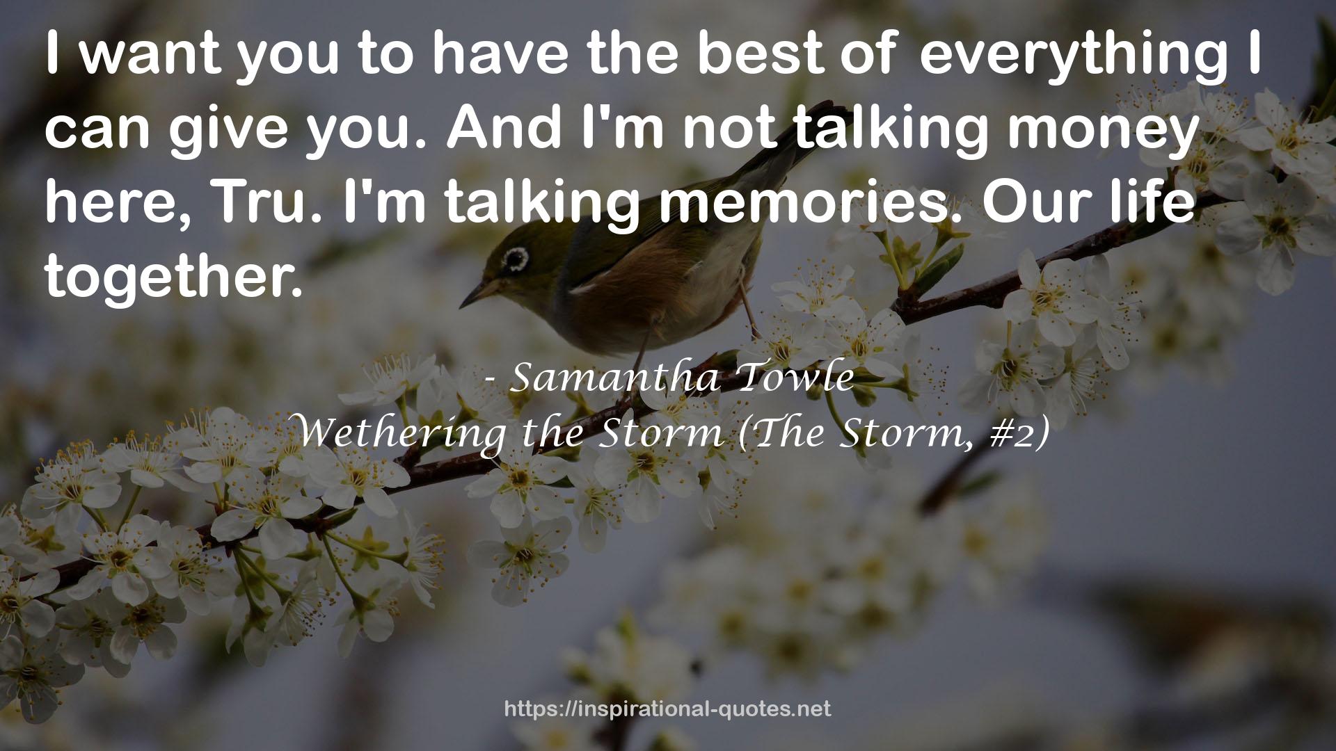 Wethering the Storm (The Storm, #2) QUOTES