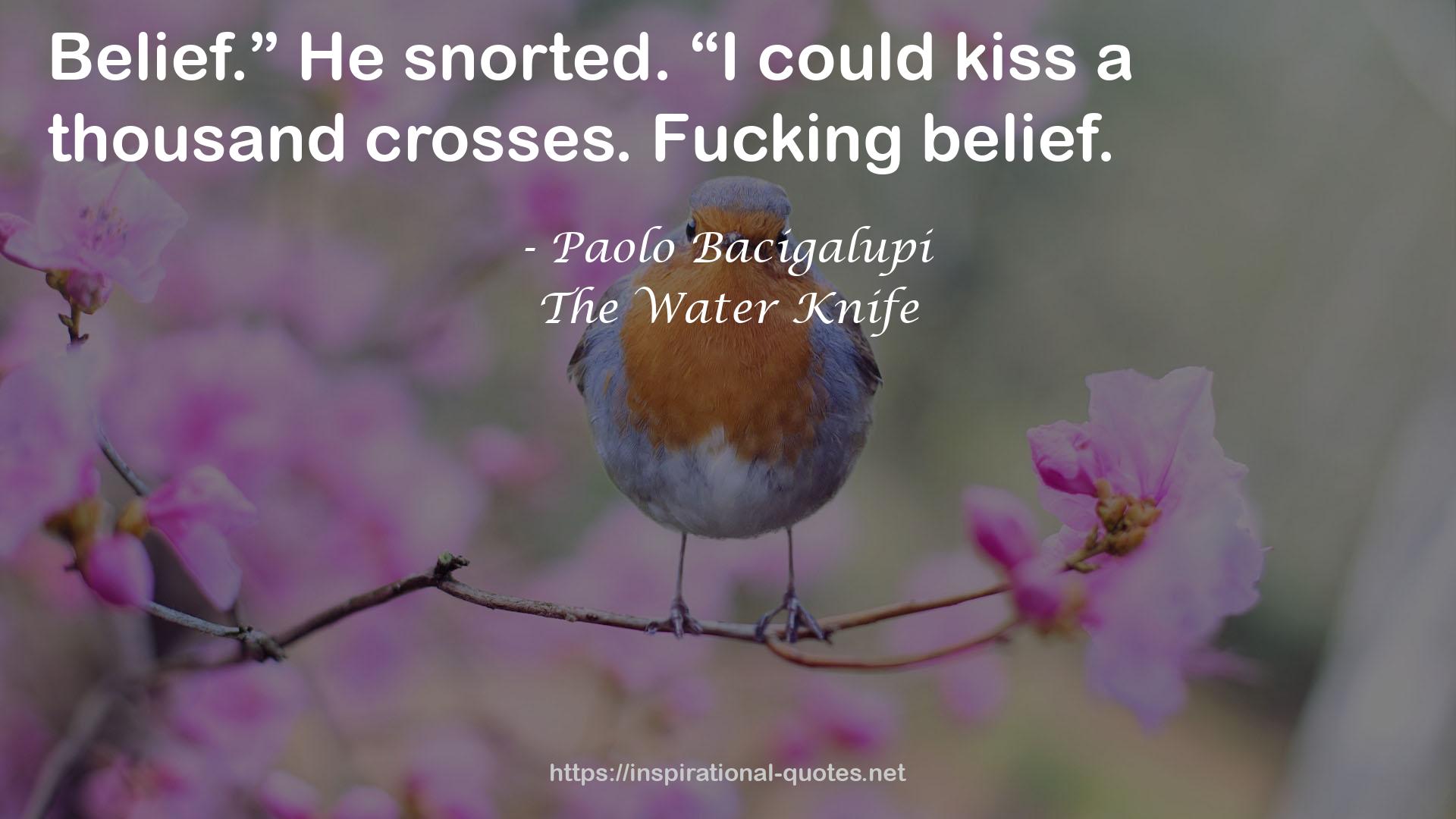 The Water Knife QUOTES