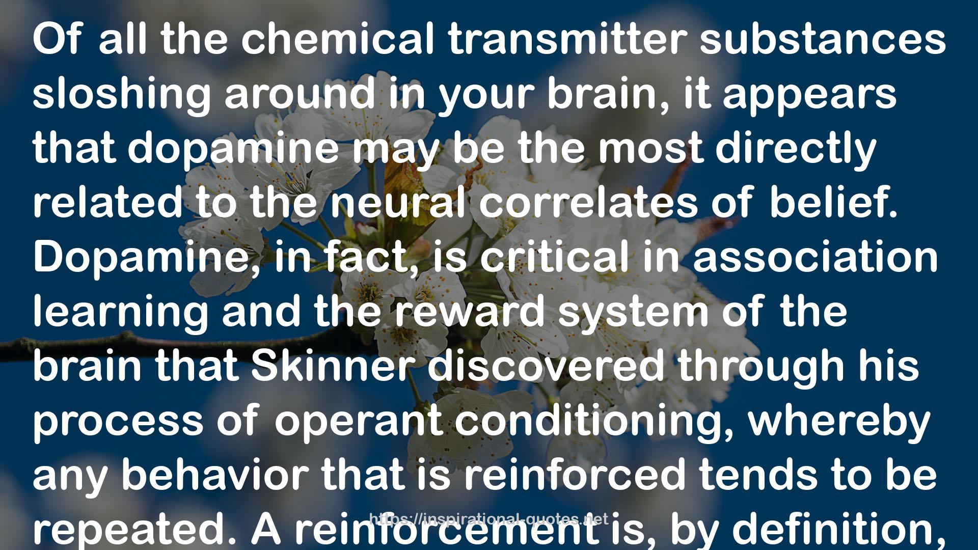 The Believing Brain: From Ghosts and Gods to Politics and Conspiracies How We Construct Beliefs and Reinforce Them as Truths QUOTES