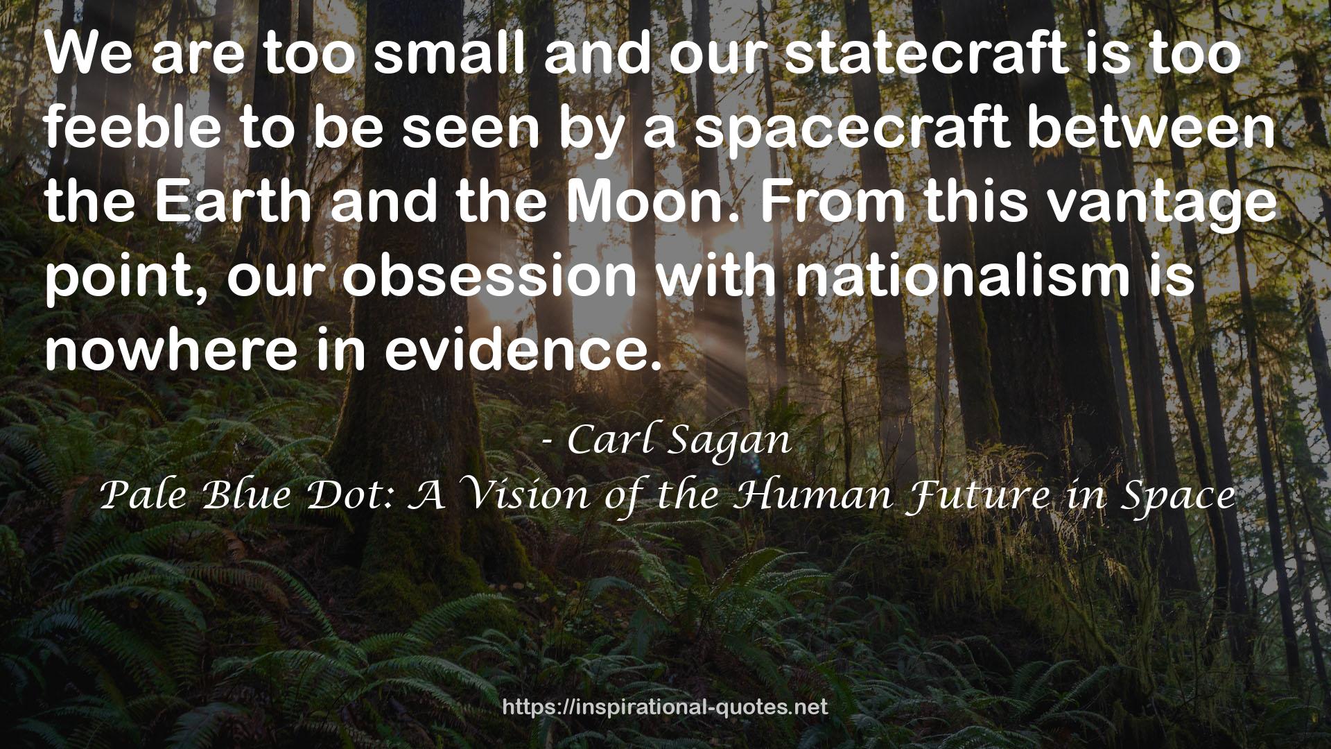 Pale Blue Dot: A Vision of the Human Future in Space QUOTES