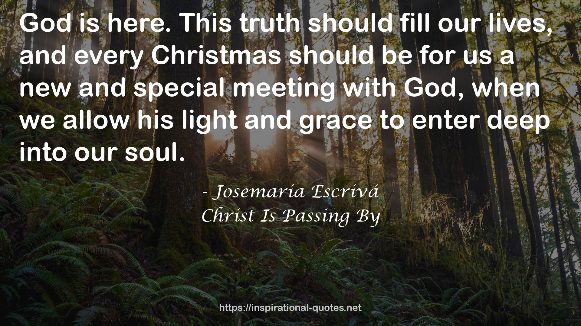 Christ Is Passing By QUOTES