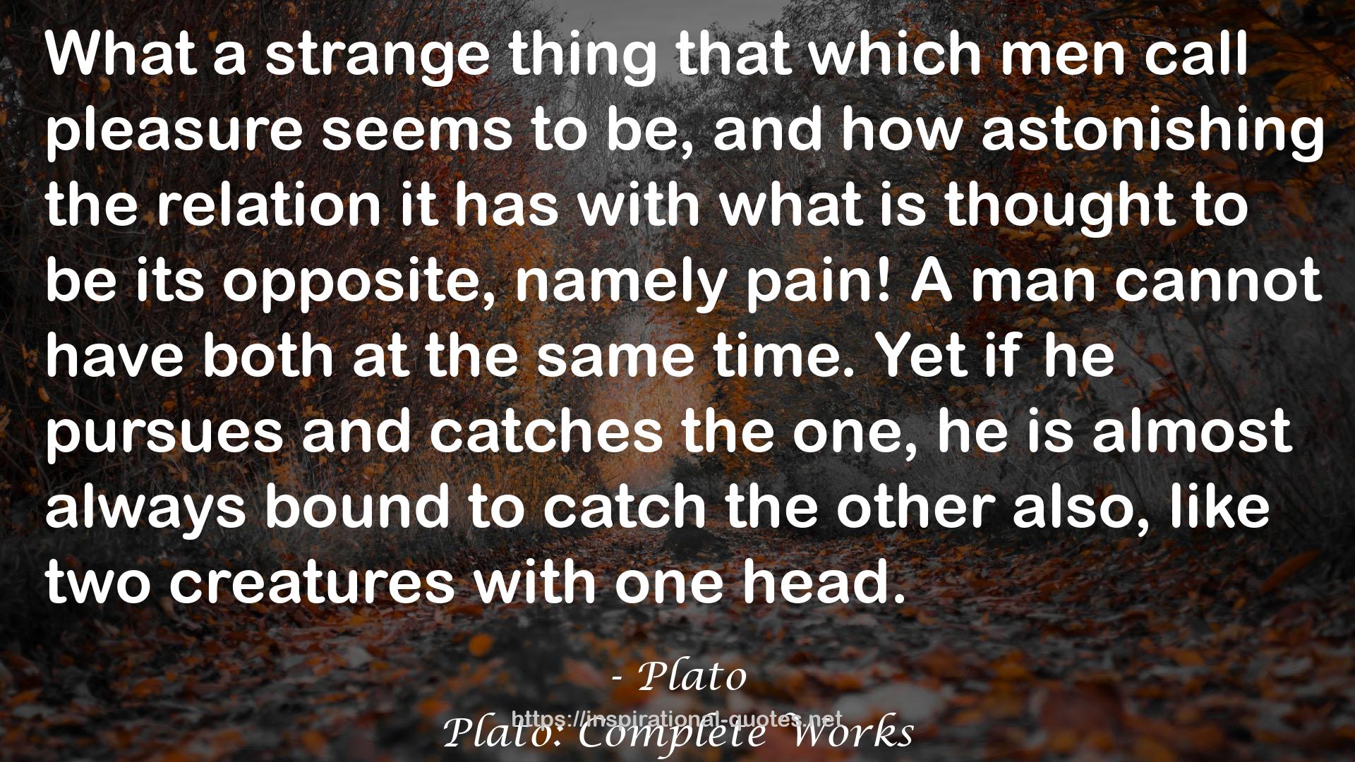 Plato: Complete Works QUOTES