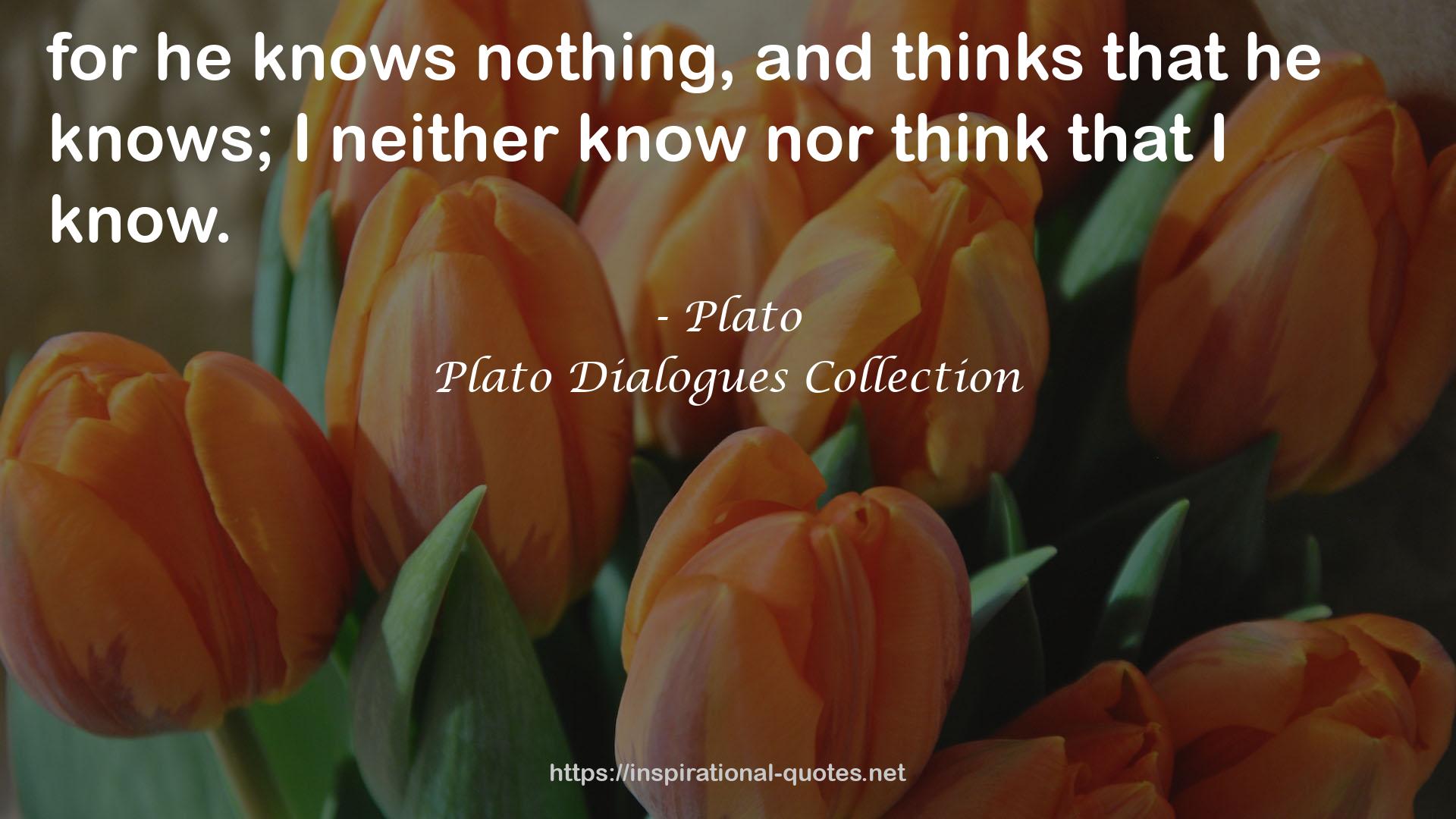 Plato Dialogues Collection QUOTES