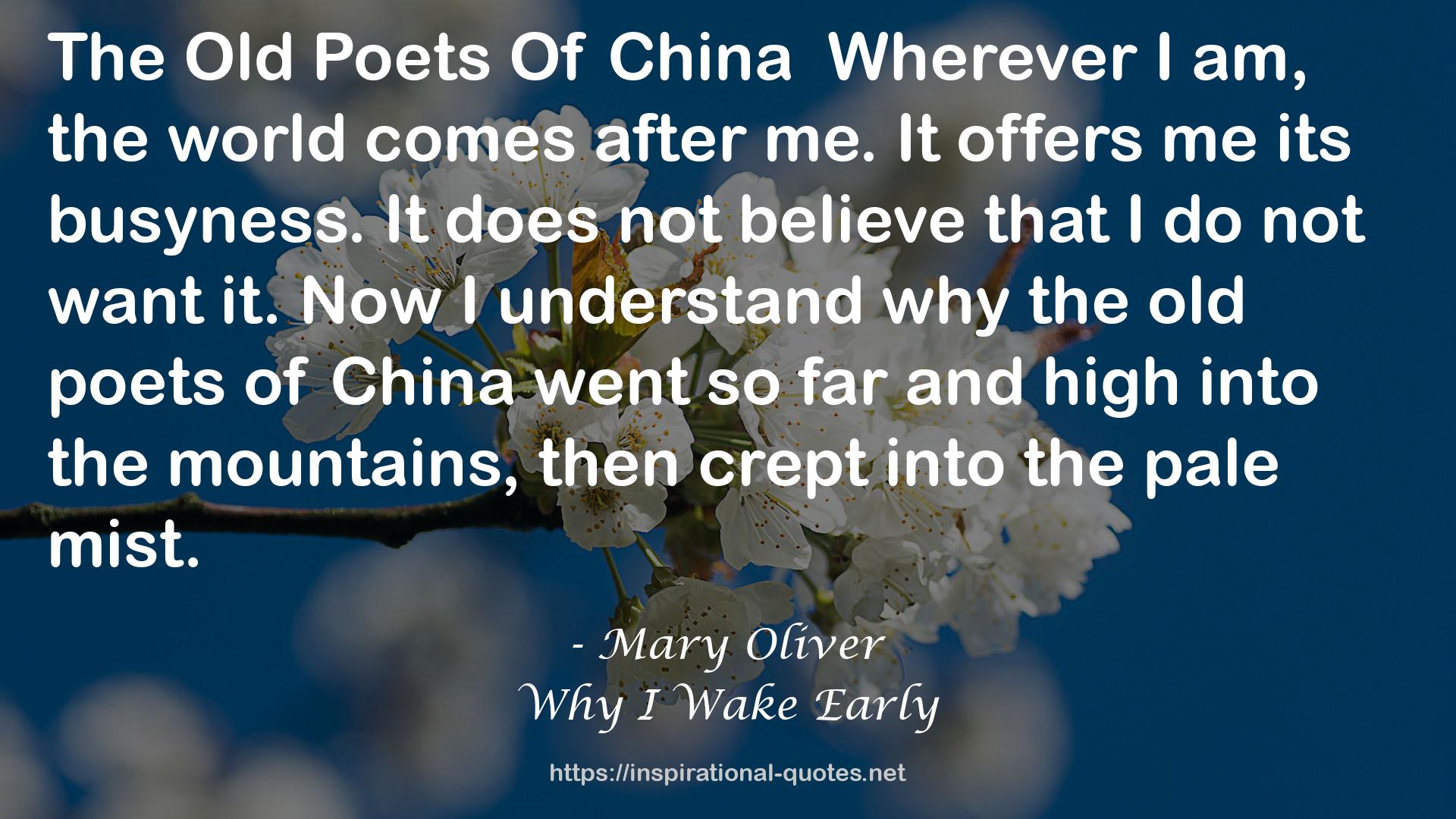 Mary Oliver QUOTES