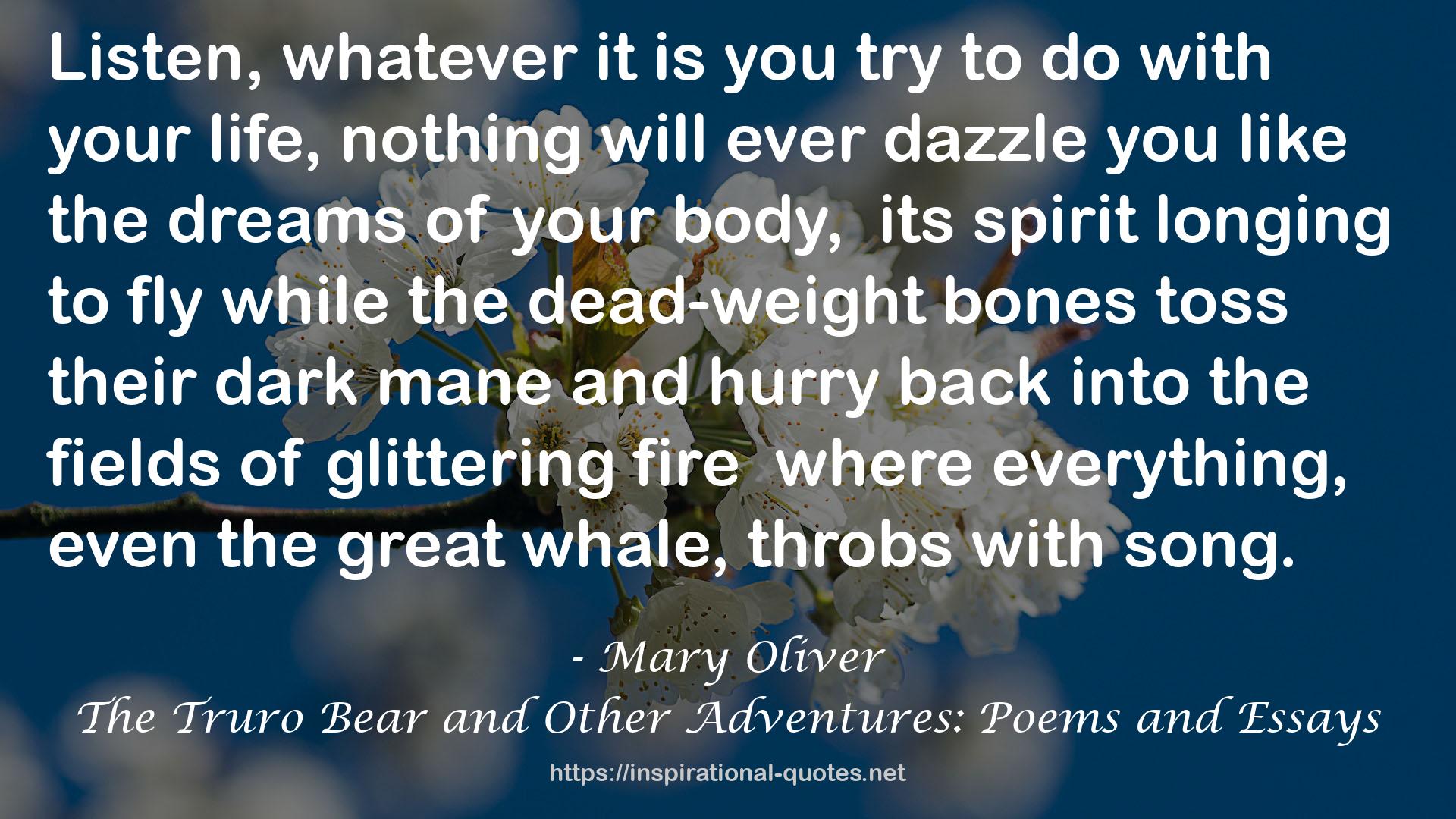 The Truro Bear and Other Adventures: Poems and Essays QUOTES