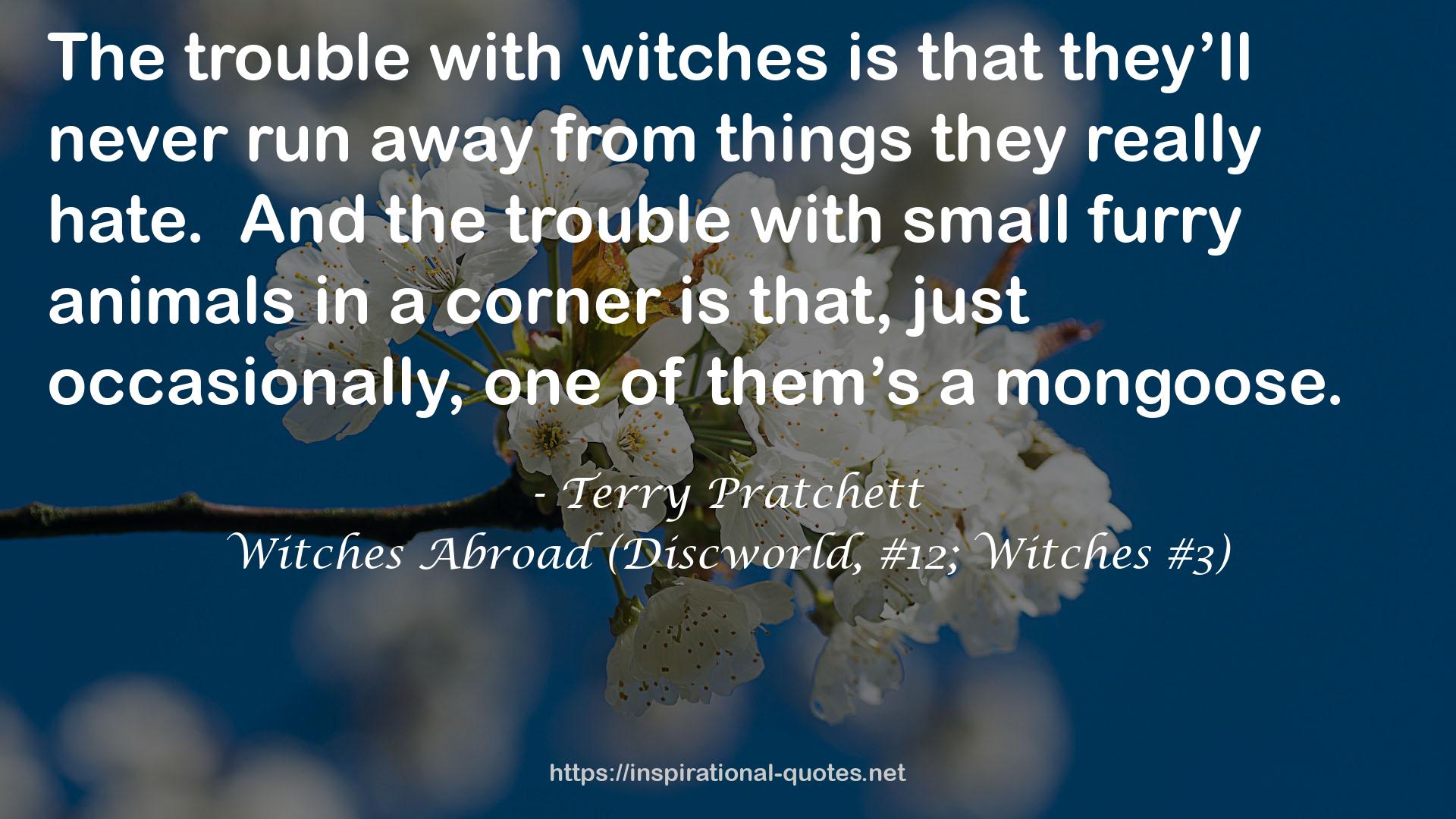 Witches Abroad (Discworld, #12; Witches #3) QUOTES