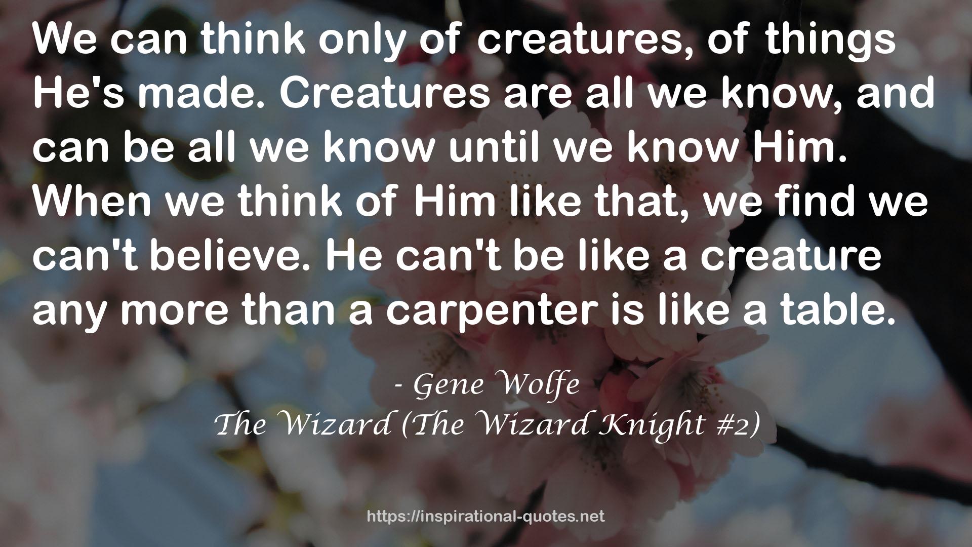 The Wizard (The Wizard Knight #2) QUOTES