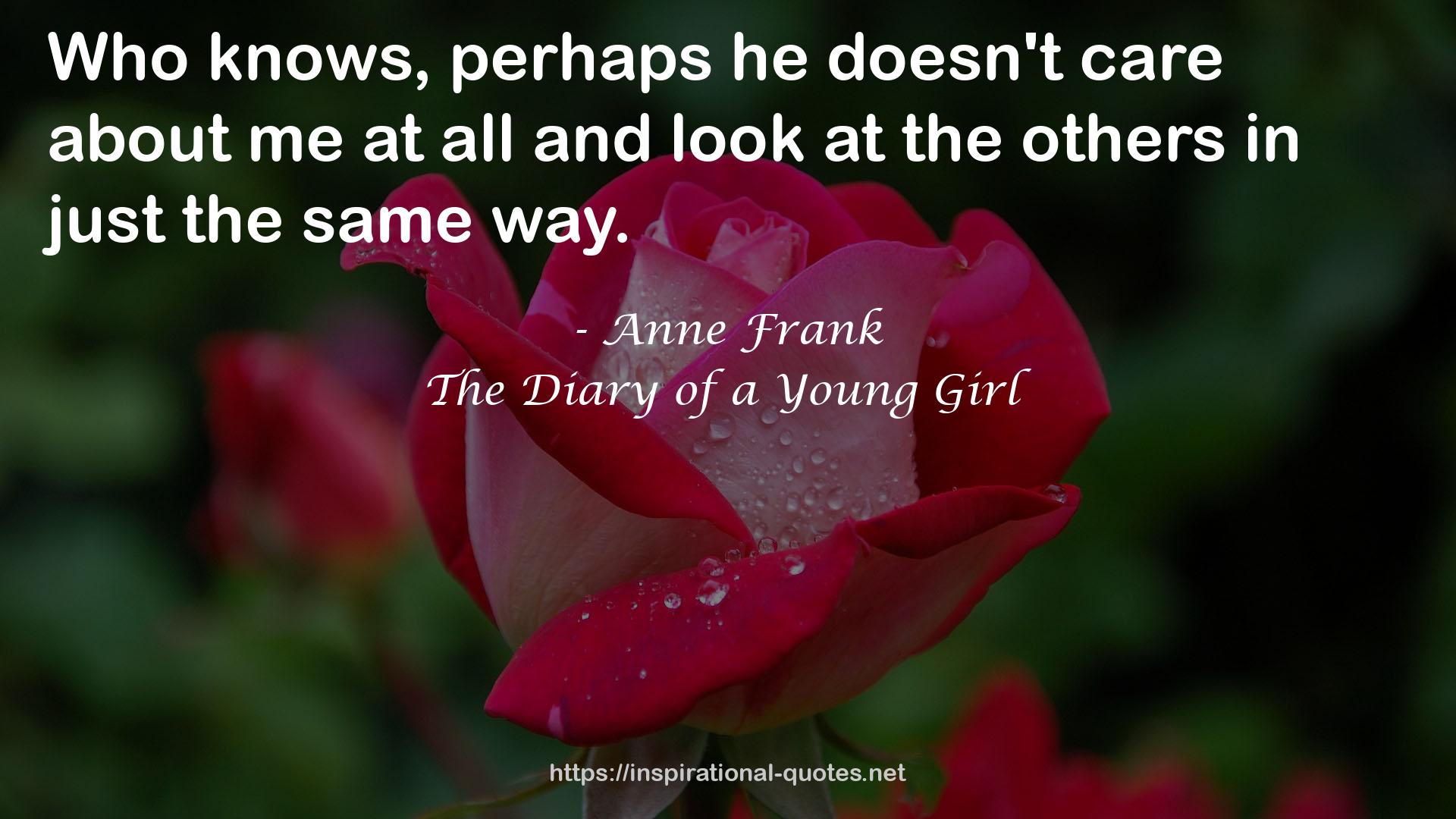 The Diary of a Young Girl QUOTES