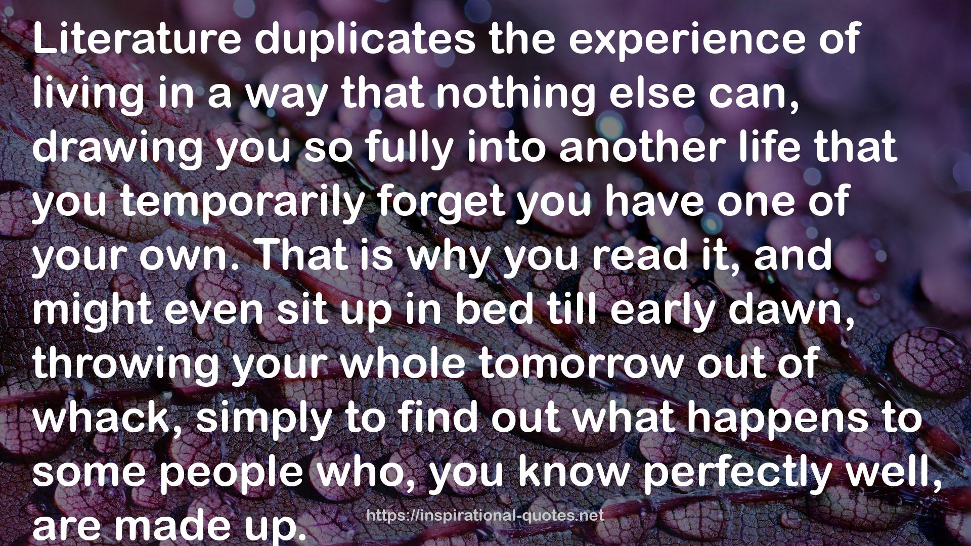 duplicates  QUOTES